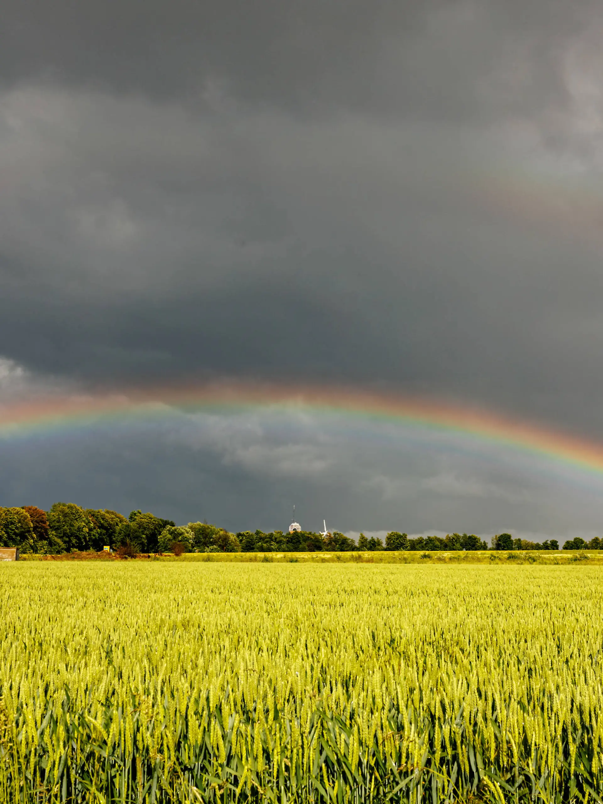 Unwetter ziehen weiter über Deutschland