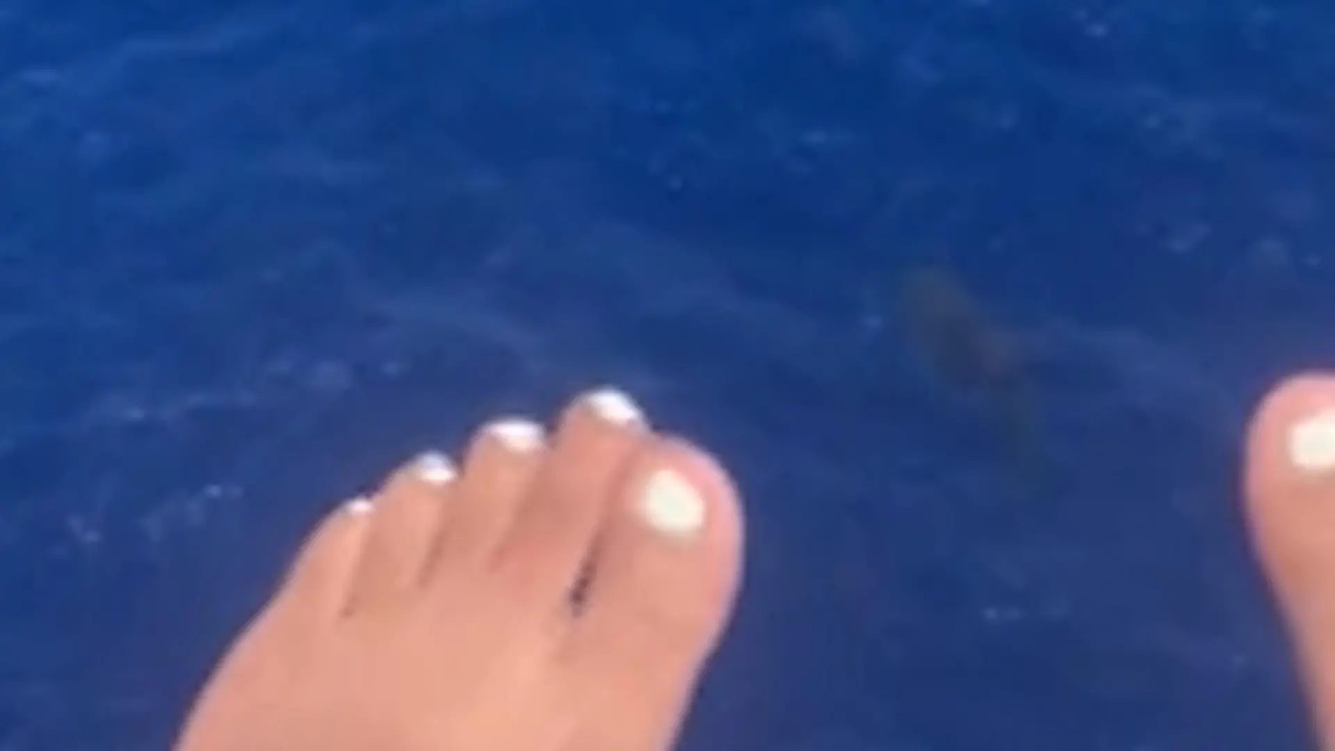 Horror-Entdeckung aus der Luft! Plötzlich taucht Hai unter Parasailing-Touristen auf Junge Frauen in Panik