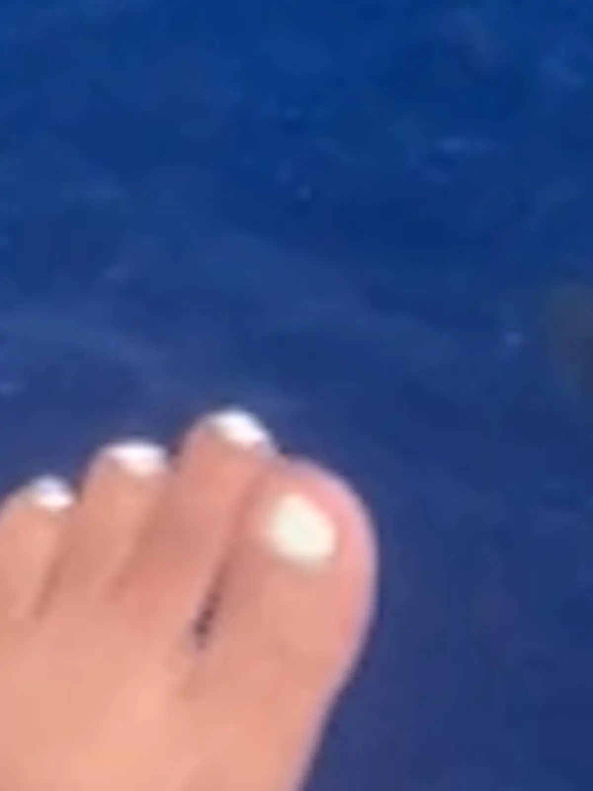Bild zu: "Horror-Entdeckung aus der Luft! Plötzlich taucht Hai unter Parasailing-Touristen auf"