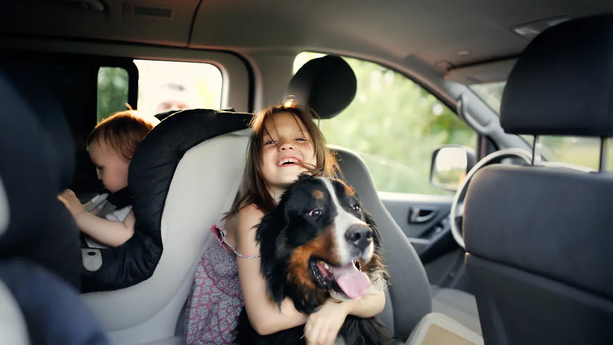 Kind mit Hund im Auto
