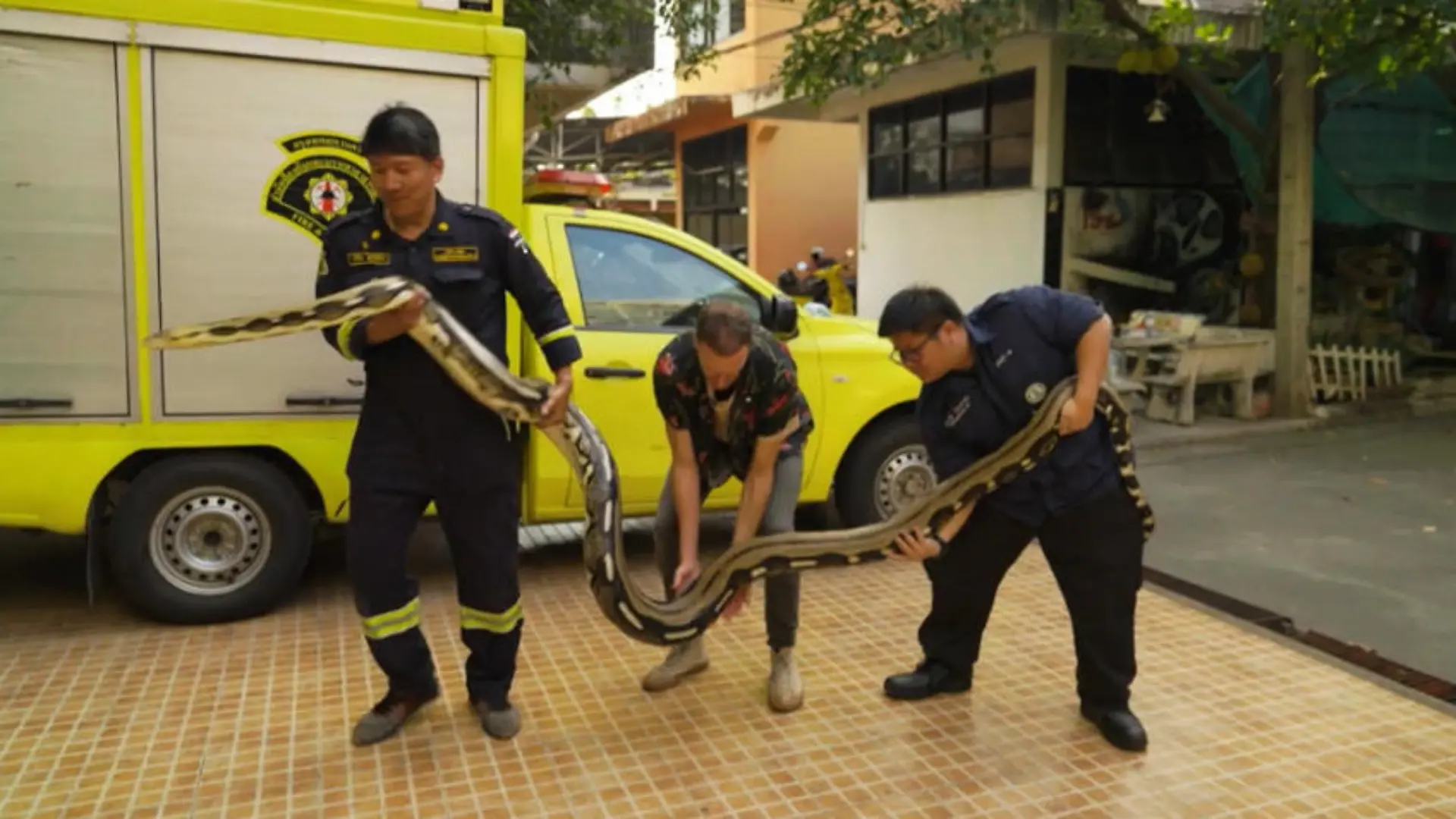 Bangkoks Schlangenfänger Pinyo riskiert sein Leben für andere Schlangenfänger in Bangkok