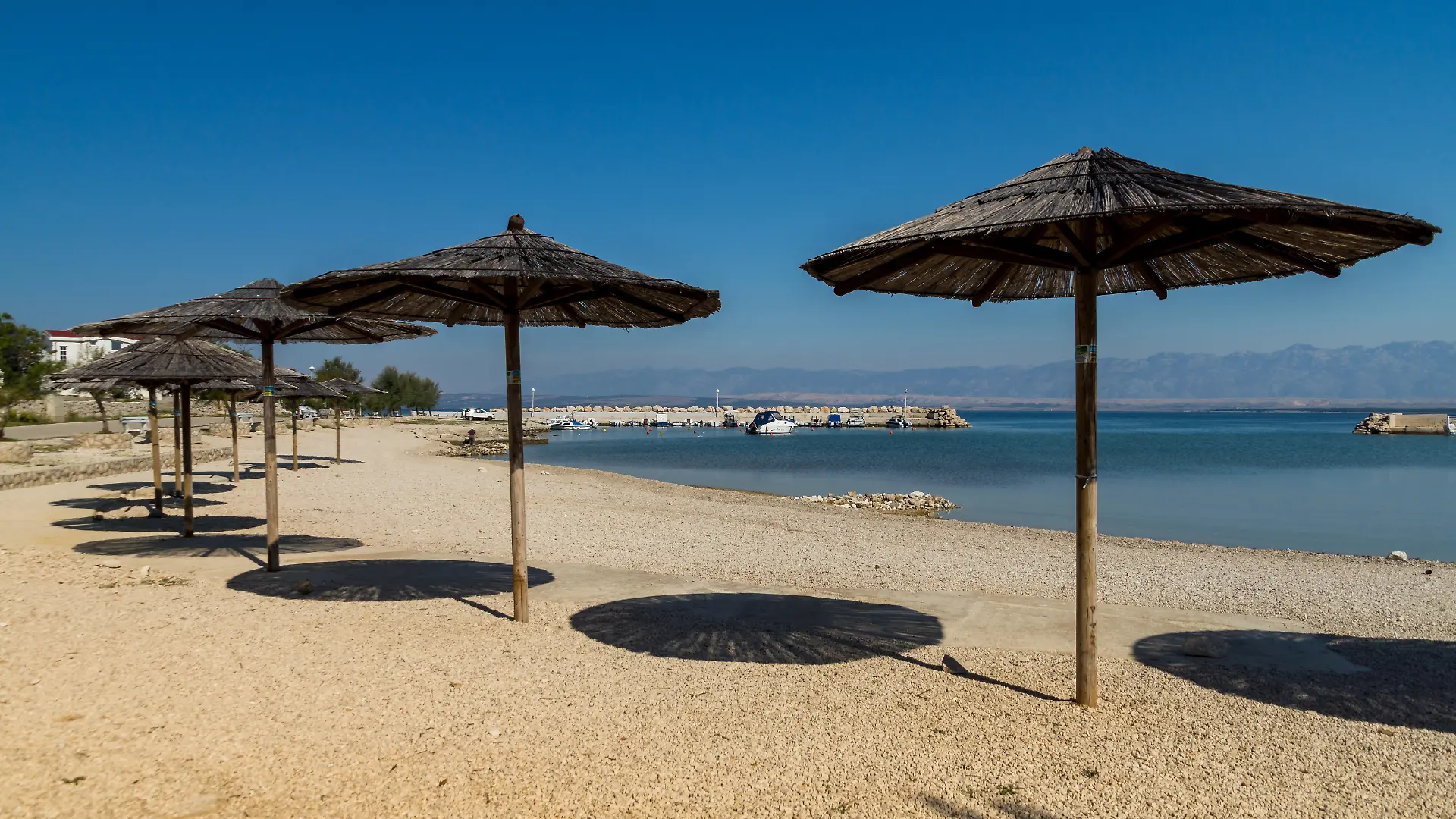 Die Insel Vir vor Zadar (Kroatien) ist ein Paradies – in diesem Jahr auch für Zecken.