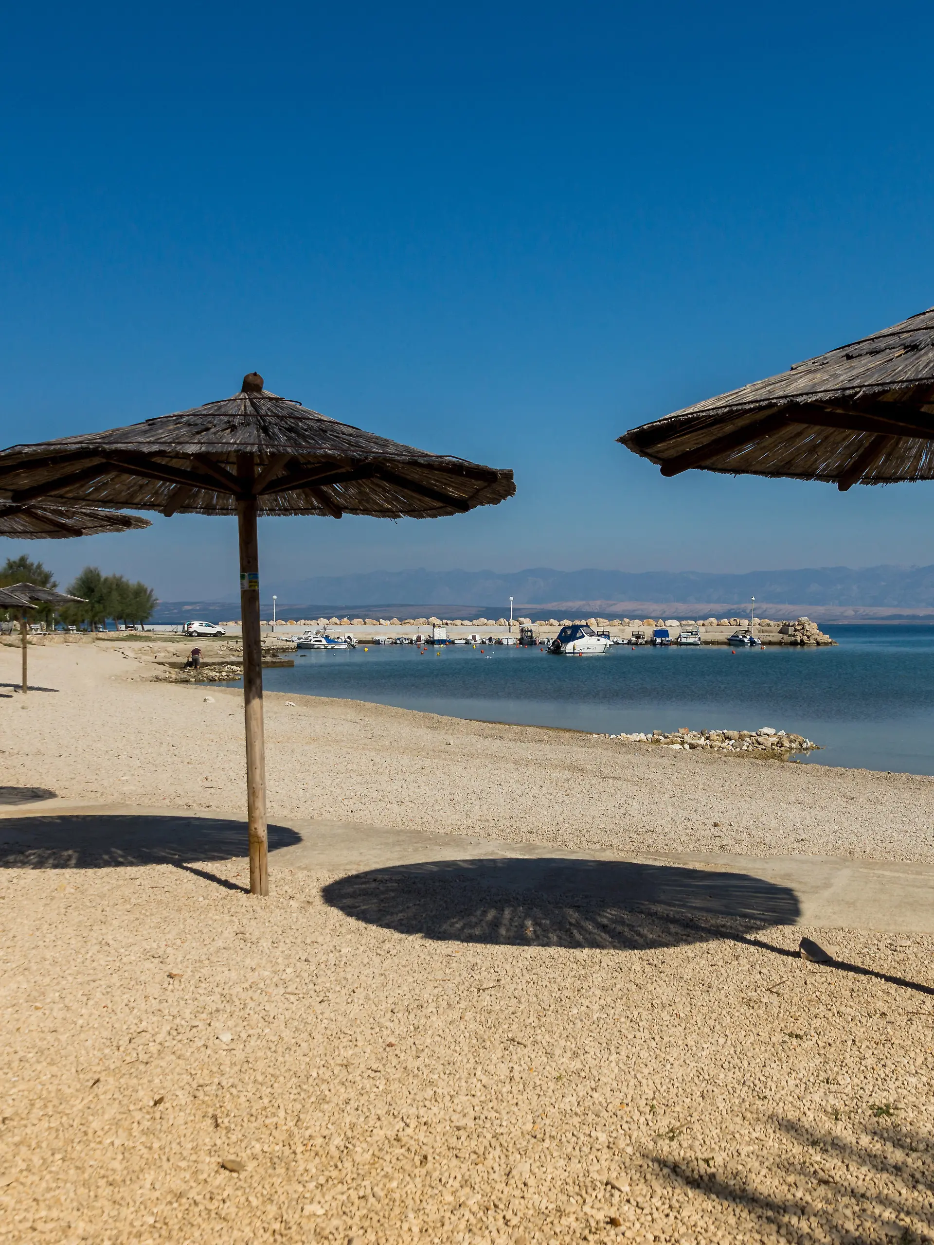 Die Insel Vir vor Zadar (Kroatien) ist ein Paradies – in diesem Jahr auch für Zecken.
