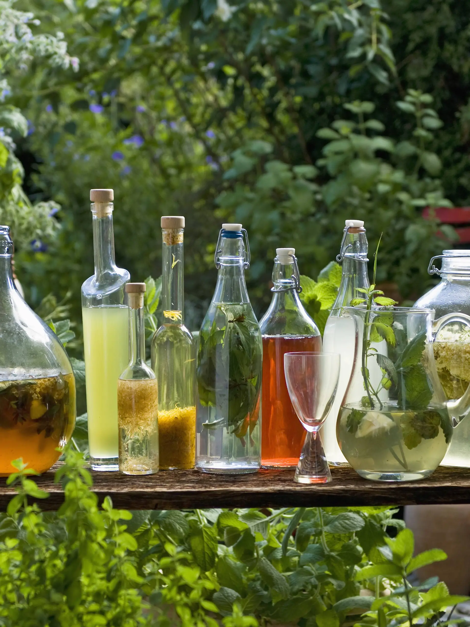 Austria, Salzbuger Land, Variety of bottles and carafes with vinegar and oil placed on side table PUBLICATIONxINxGERxSUIxAUTxHUNxONLY HHF02878
Austria Country Variety of Bottles and carafes With Vinegar and Oil placed ON Side Table PUBLICATIONxINxGERxSUIxAUTxHUNxONLY HHF02878