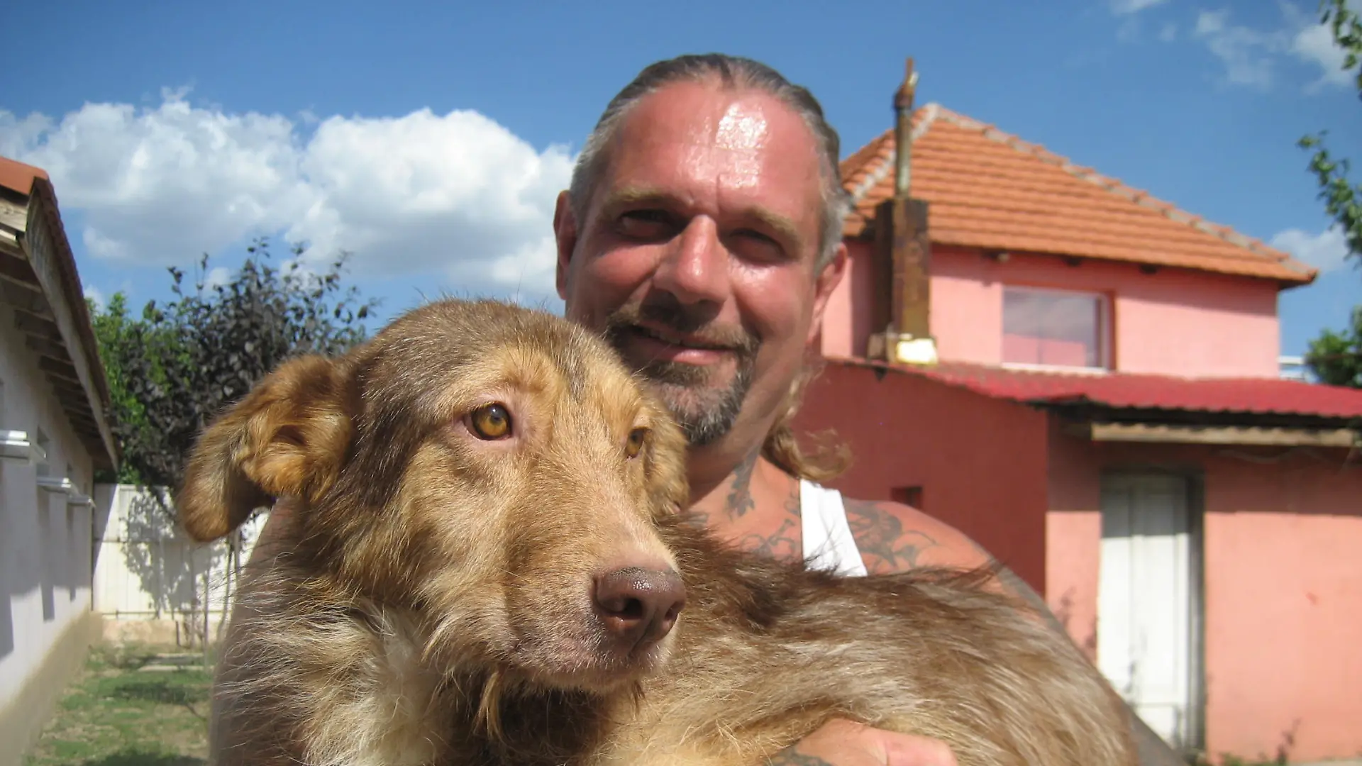Vorschau 2 - Harte Hunde - Tierretter in Rumnien - Ralf Seeger