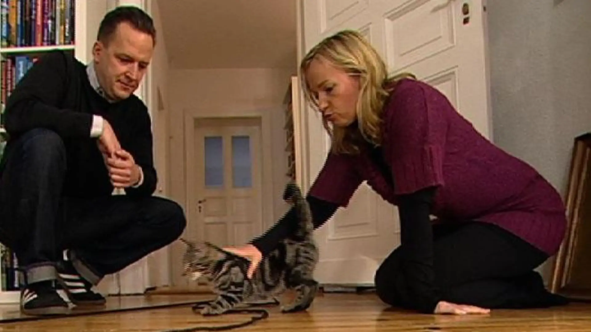 Katzentherapeutin 2 - Birga lastet junge Katze aus