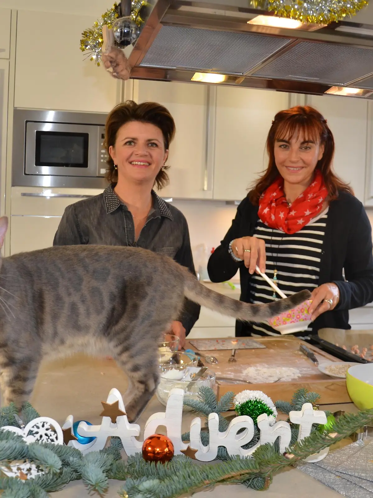 1. Bild Weihnachtskekse fr Katzen VOX DOCMA TV