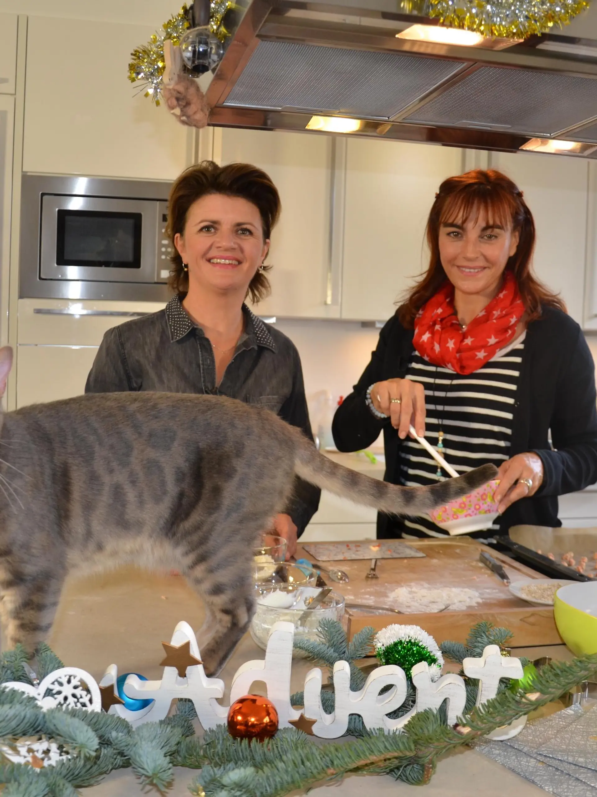 1. Bild Weihnachtskekse fr Katzen VOX DOCMA TV