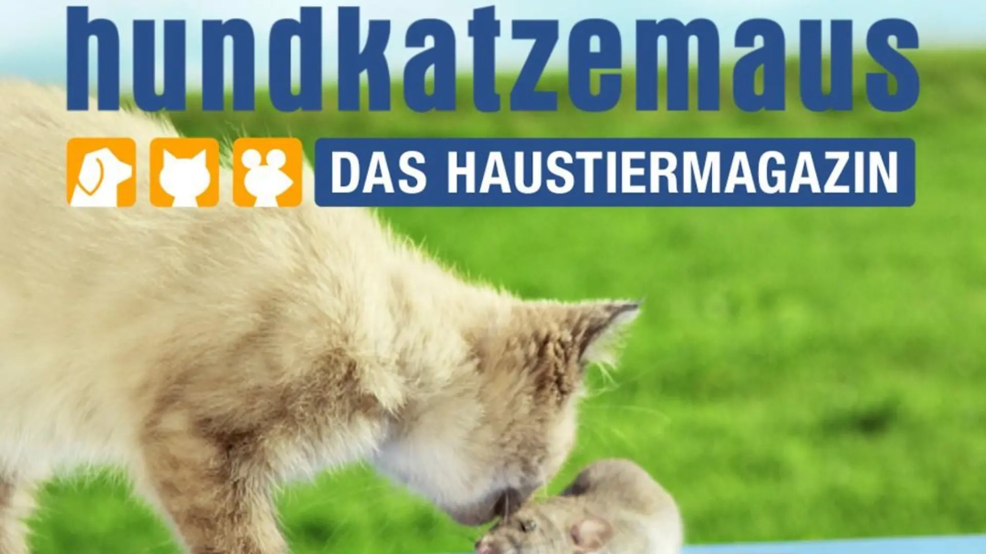 hundkatzemaus - Das Haustiermagazin: neues Sendungsdesign!