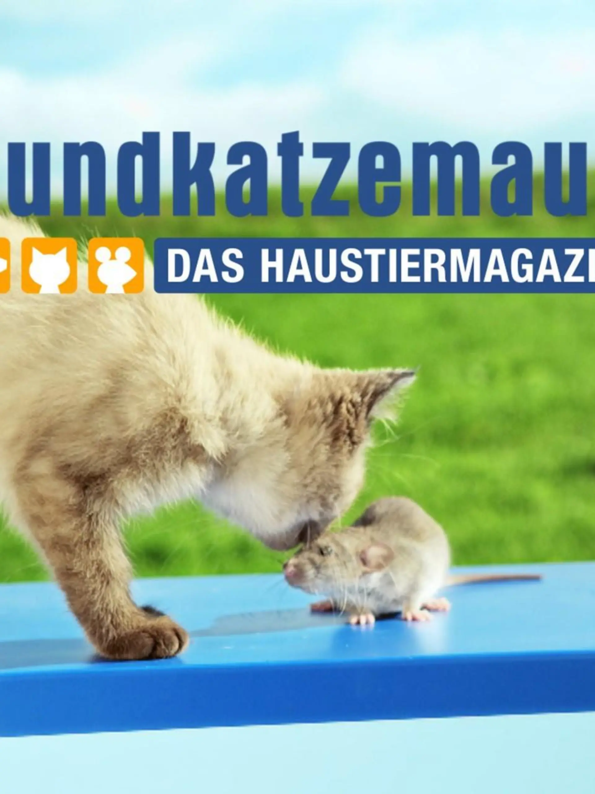 hundkatzemaus - Das Haustiermagazin: neues Sendungsdesign!