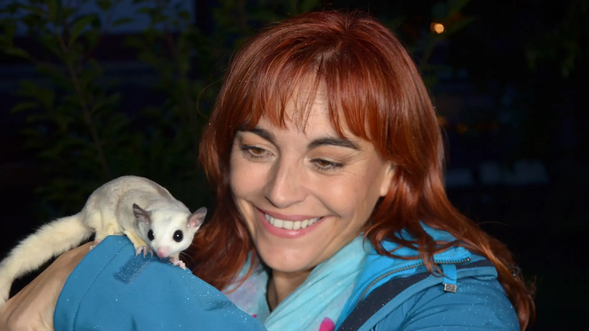 Diana Sugar Glider VOX DOCMA TV