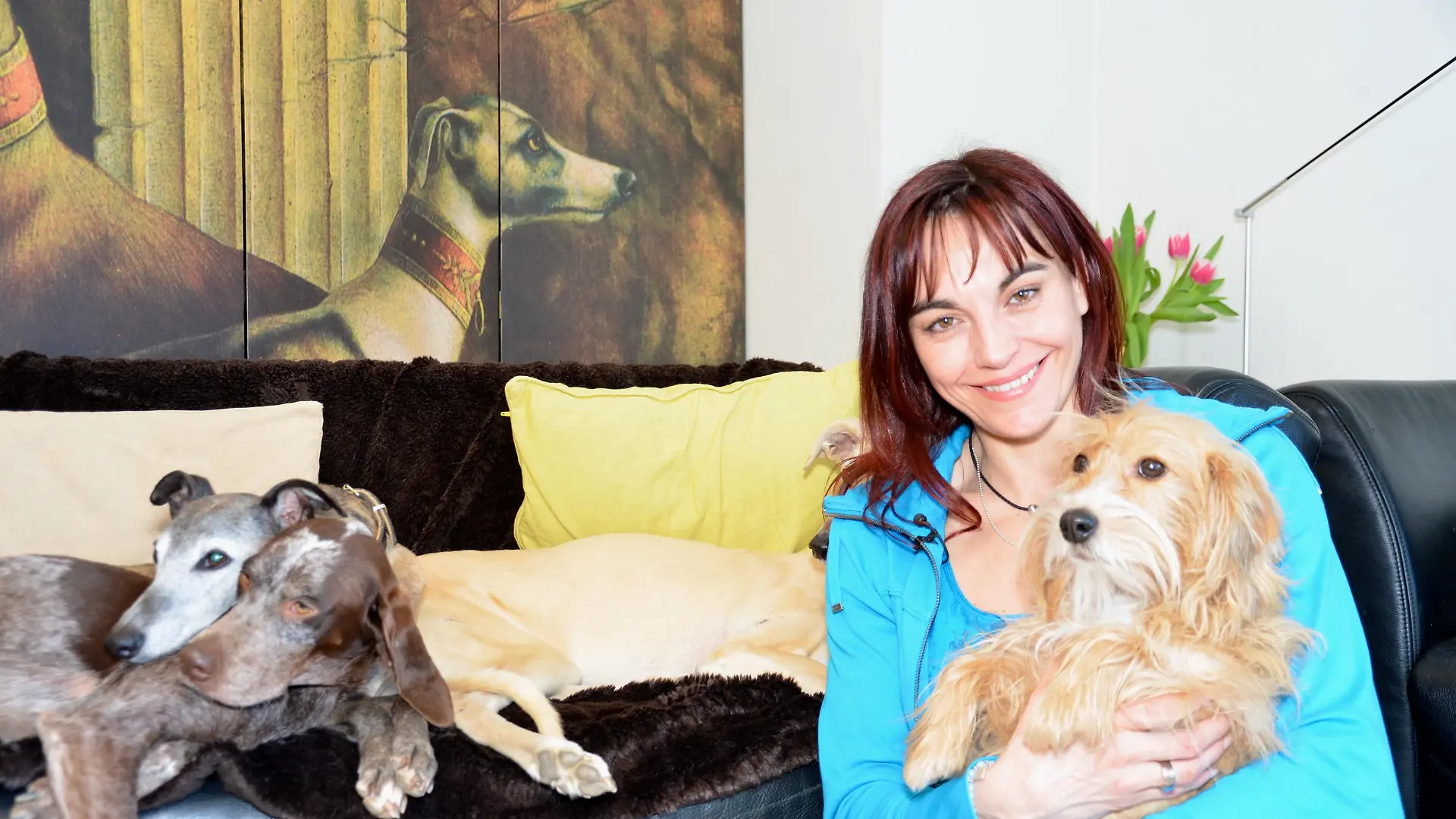 Tiergeschichten1 - Hundemythen