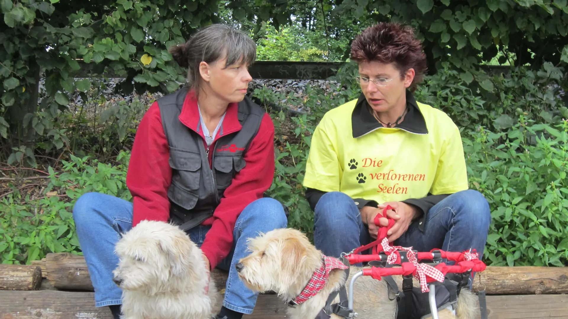 Tiergeschichten 3 - Bild 1 - Bambi-Hunscher-Bagutzki und ihr Rolli-Hund