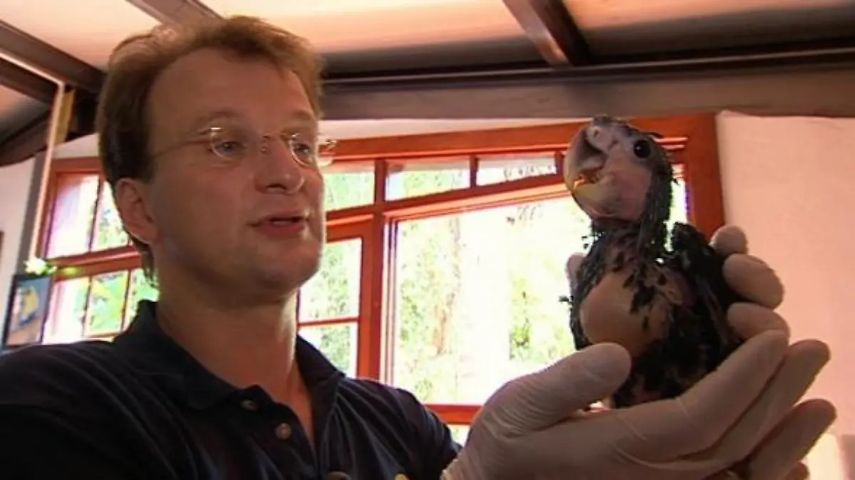 tiergeschichten2 a2