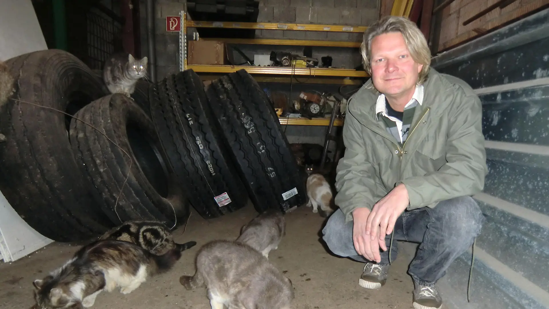 Tiere in Not 1 - Frank Weber und Mllkatzen