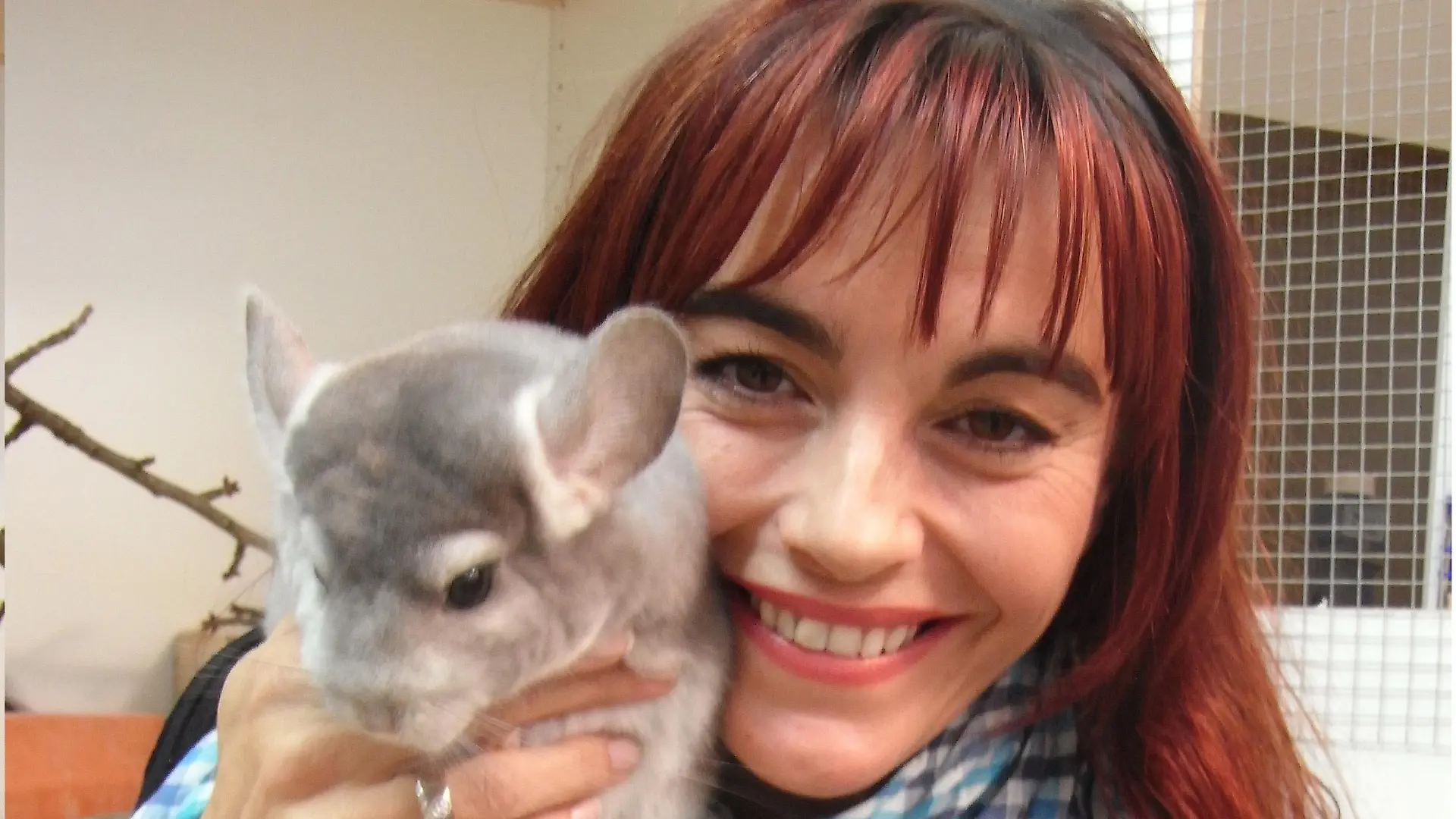 Tiergeschichten1 - Bild 1 - Diana und Chinchilla