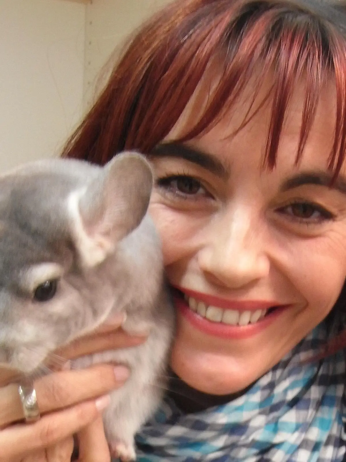 Tiergeschichten1 - Bild 1 - Diana und Chinchilla