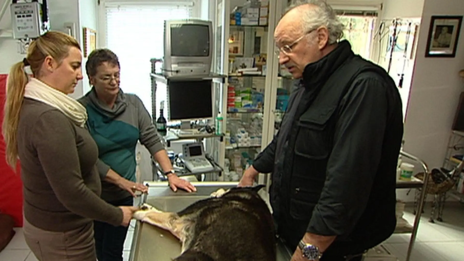 Sprechstunde - Dr. Wolf und Hund vor Euthanasie
