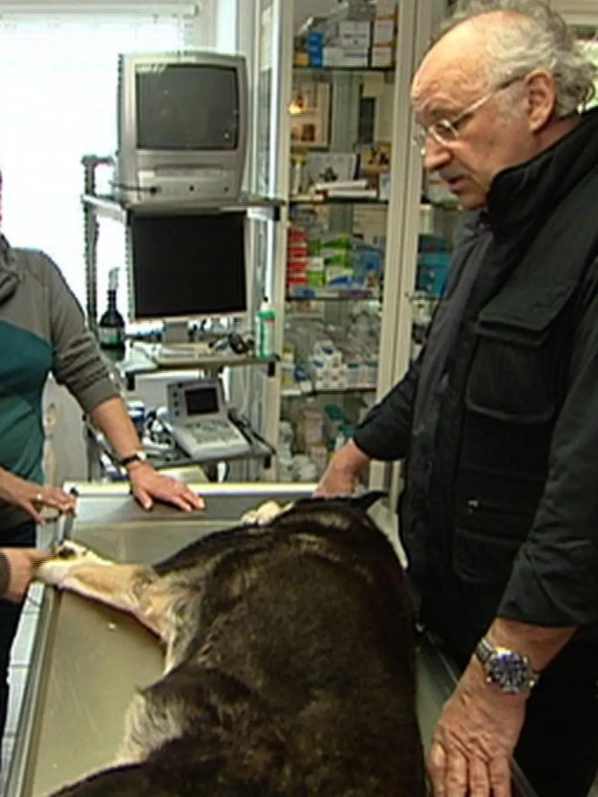 Sprechstunde - Dr. Wolf und Hund vor Euthanasie