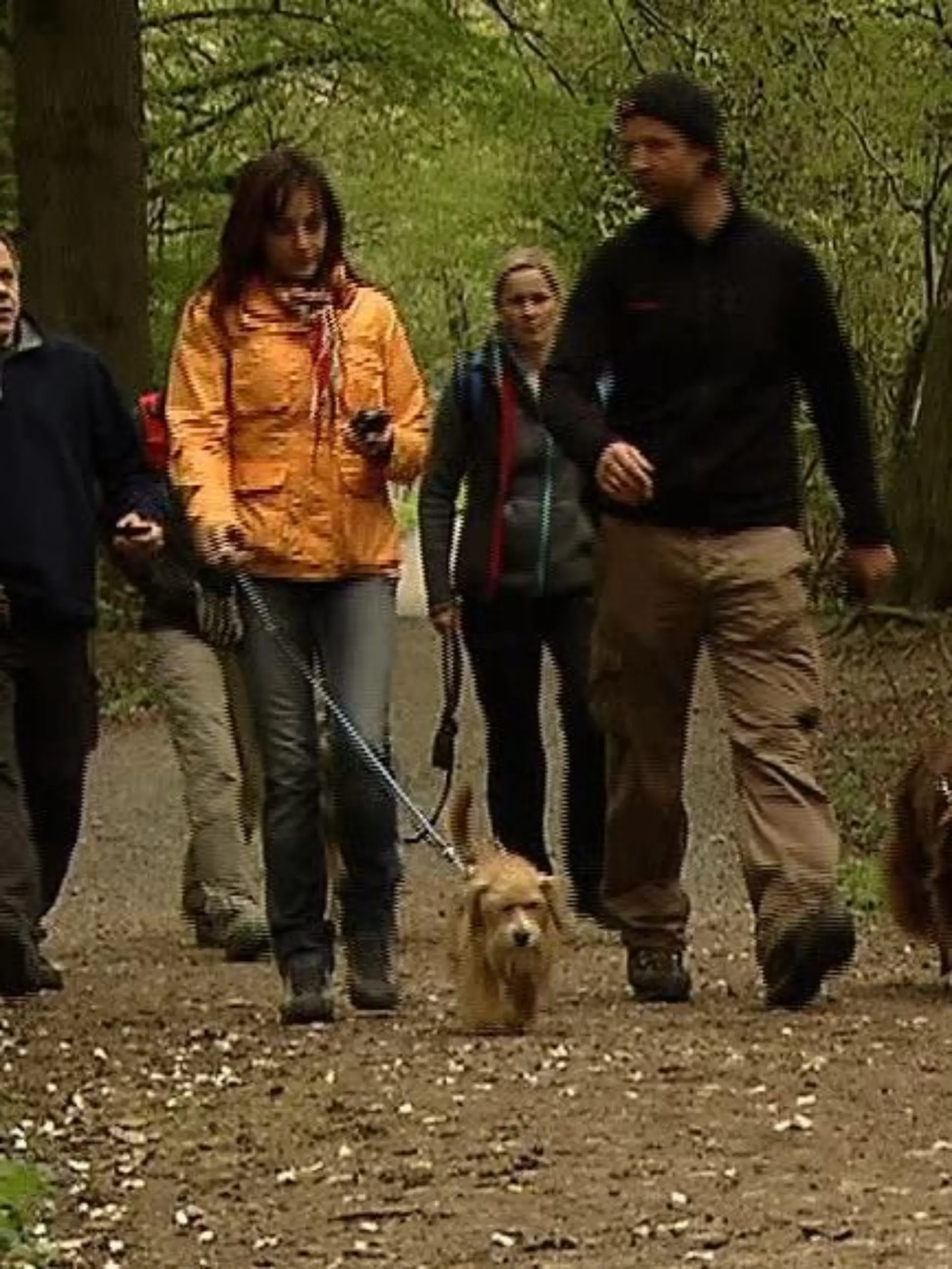 Tiergeschichten1 - VOX Geodog