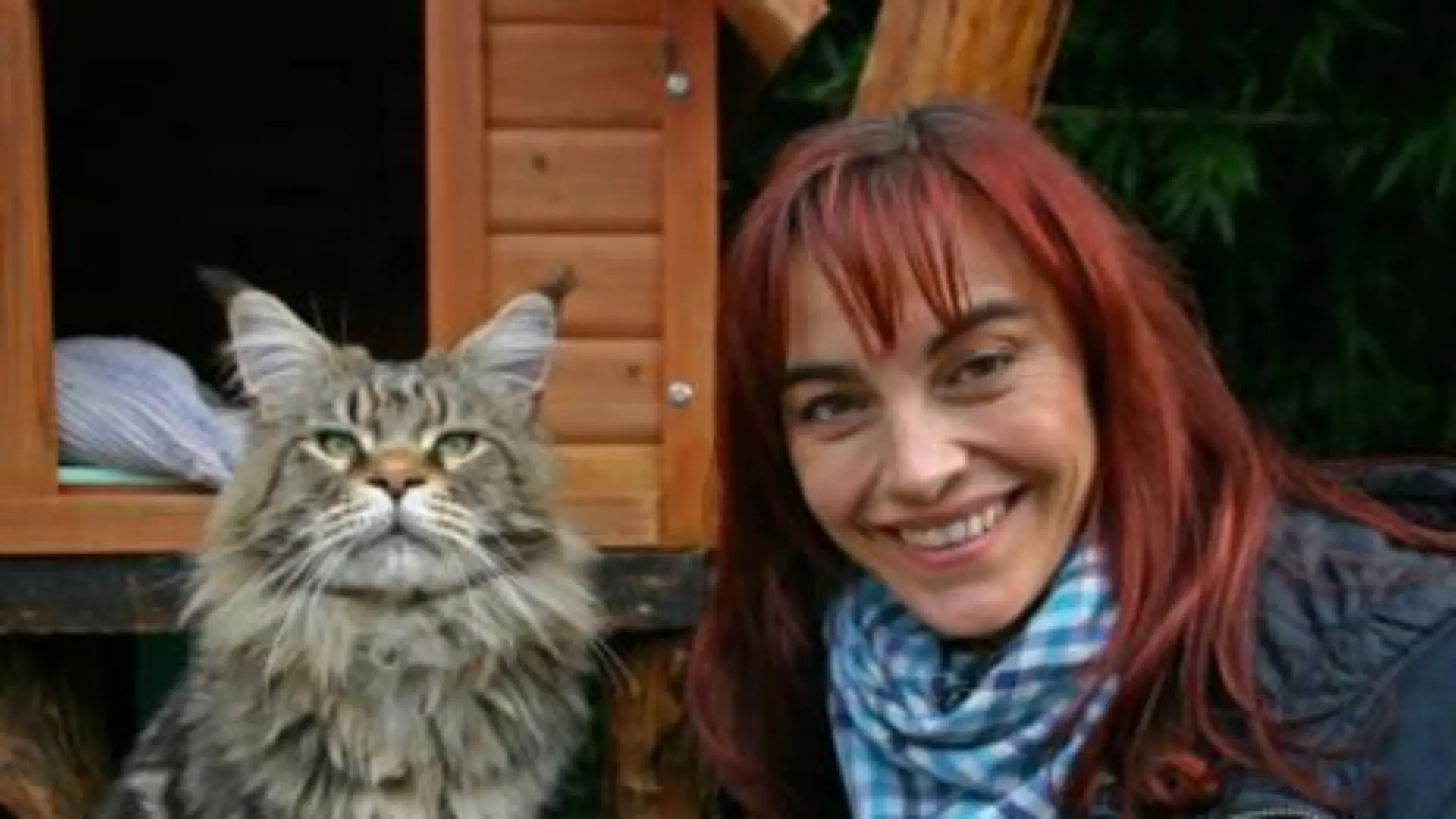 Tiergeschichten 2 - Bild 2 - Diana und Maine Coon