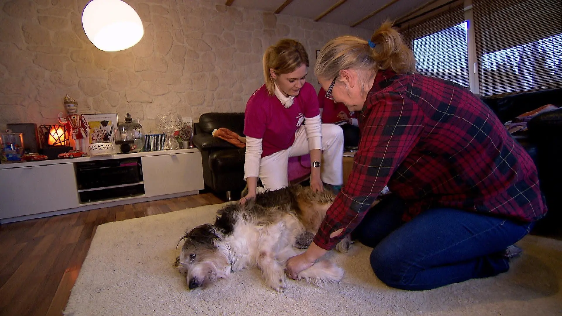 Mobiler Tiernotdienst VOX DOCMA TV (3)
