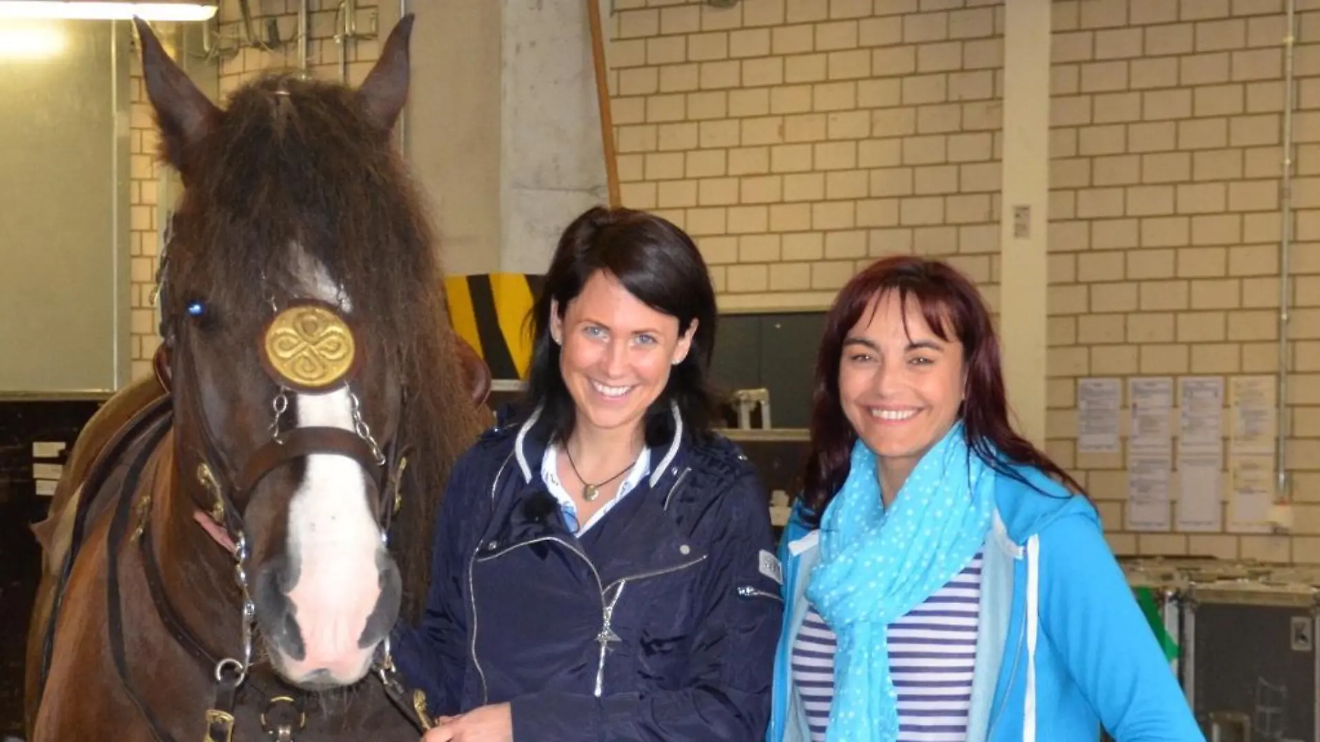 Tiergeschichten1 - VOX-DOCMA TV-BIANKA SCHNEIDER - hundkatzemaus-Reporterin Diana Eichhorn mit Pferd Naer und Horse Director Meike Arnason hinter den Kulissen der Pferdeshow Apassionata