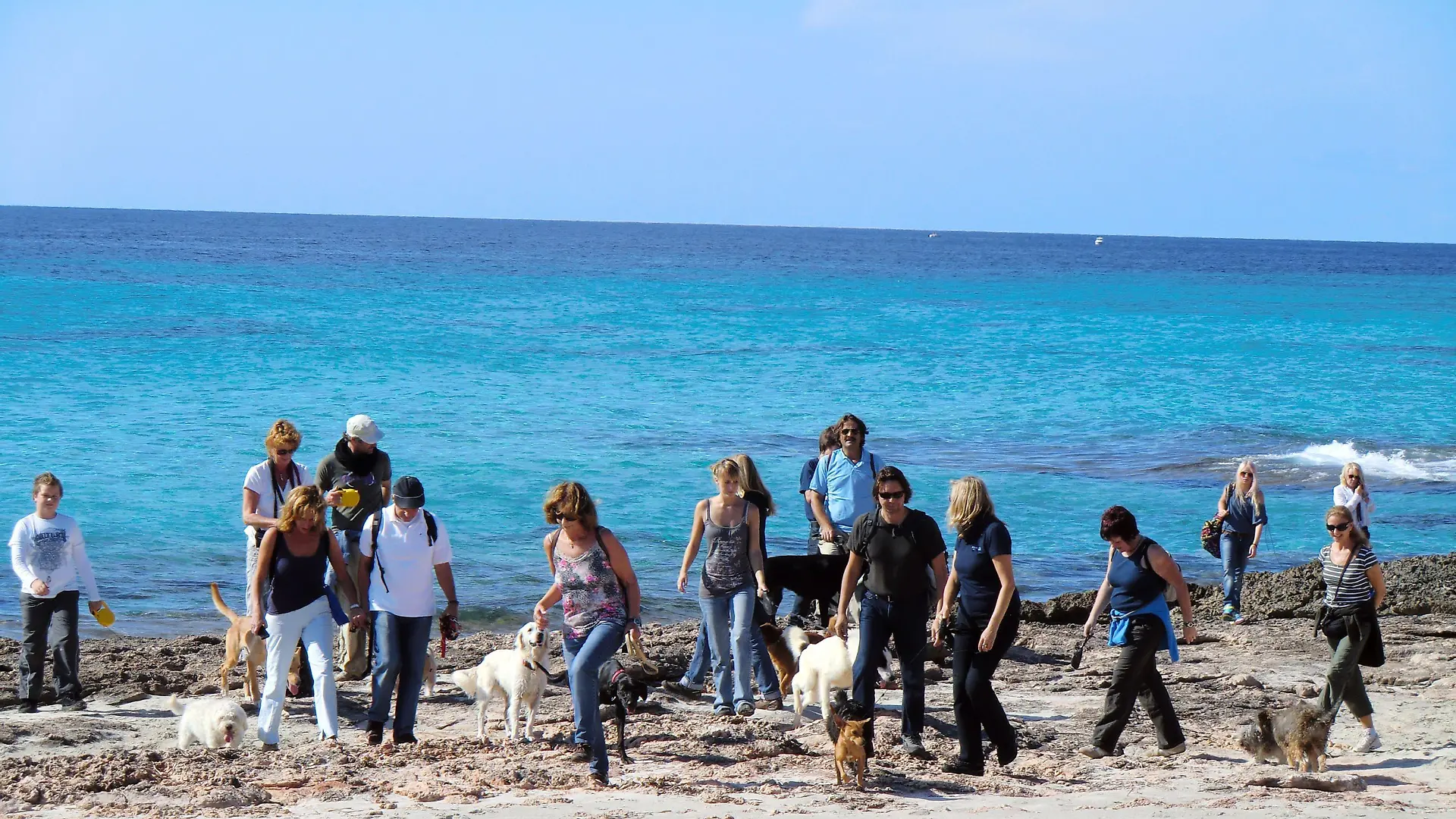 Hundewandern an der Küste von Mallorca mit Privat- und Tierheimhunden.