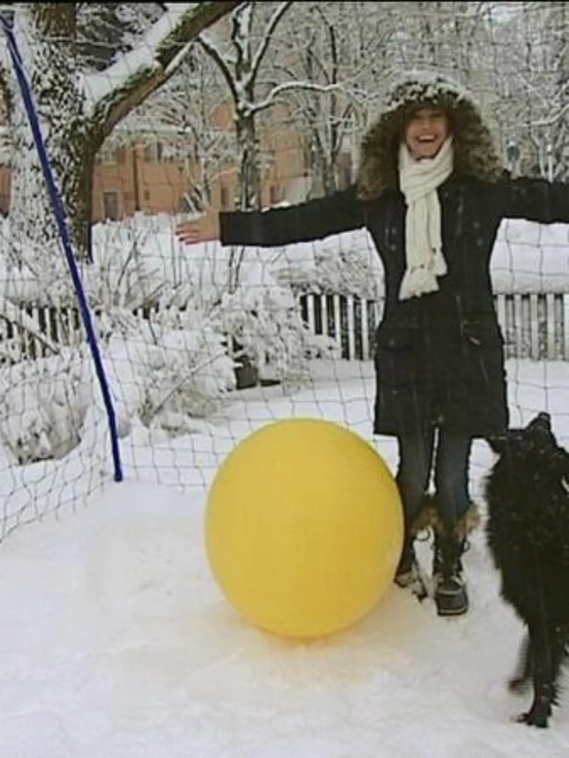 tiergesch1 treibball