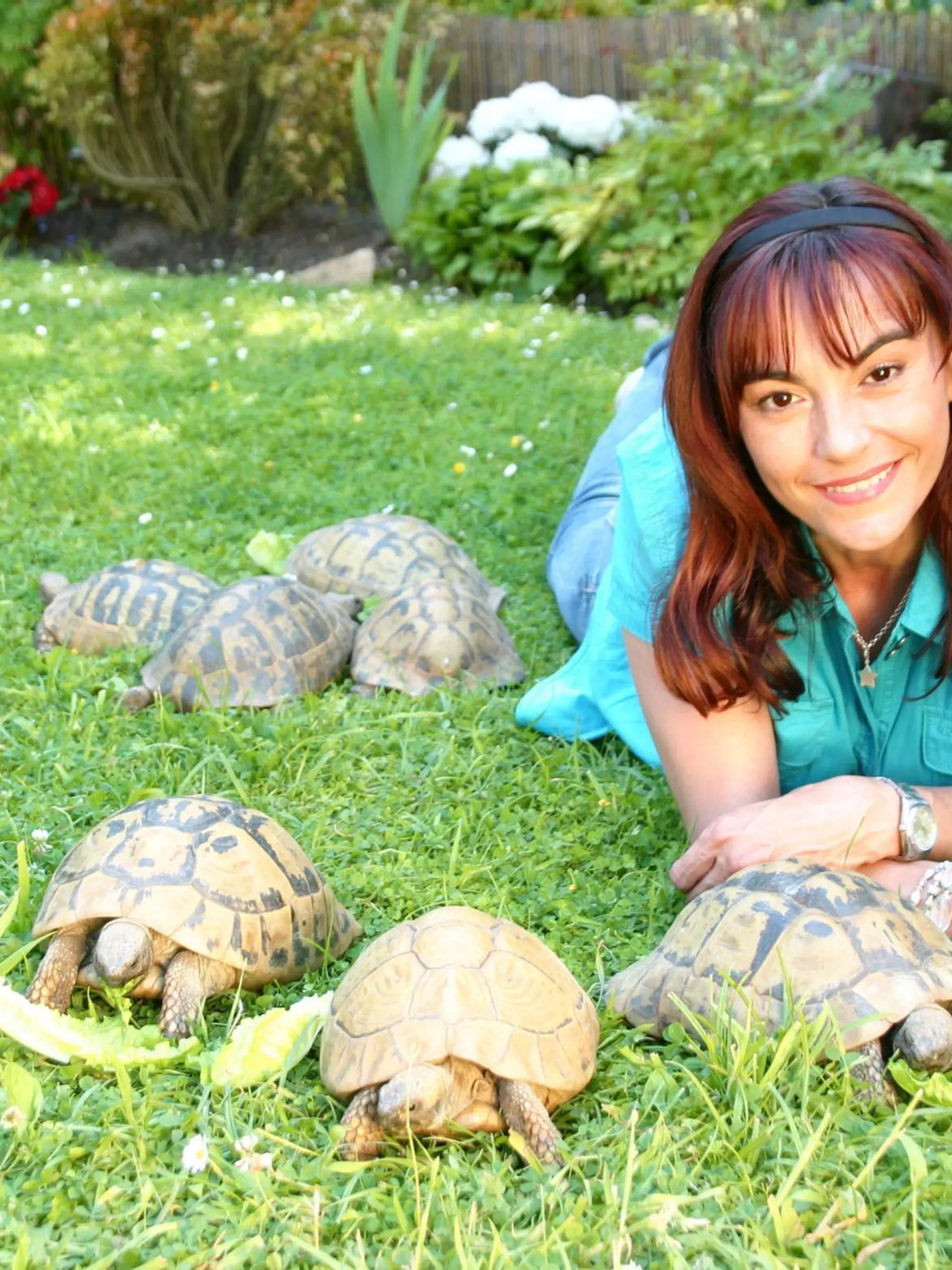 Diana Eichhorn besucht einen Landschildkröten-Züchter und schaut sich das perfekte Freigehege an. Zusammen mit dem Experten gibt sie nützliche Tipps zur Haltung, richtigen Ernährung und sicheren Überwinterung der gepanzerten Lebenskünstler.