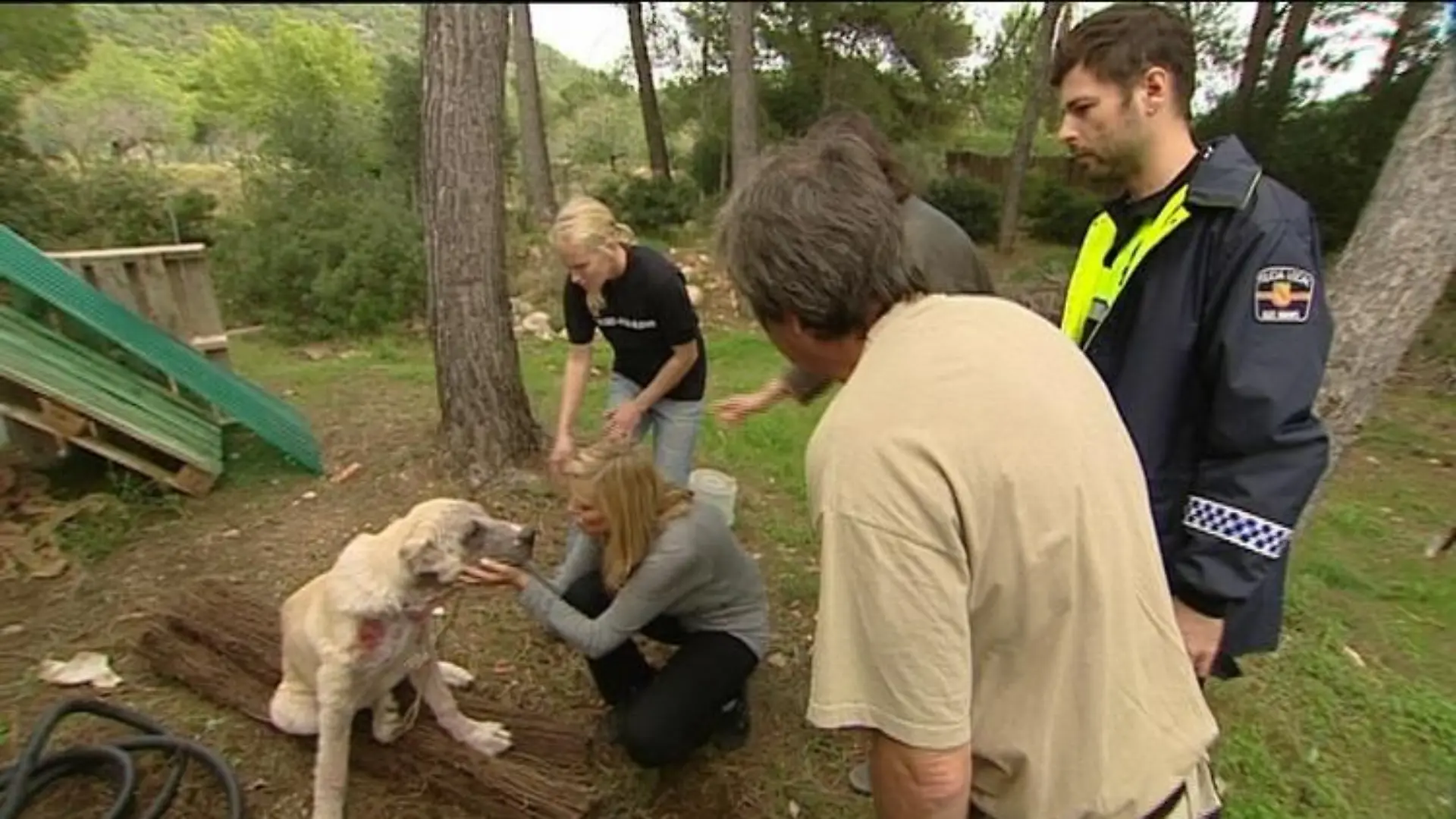 tierschützer gruppe+hund