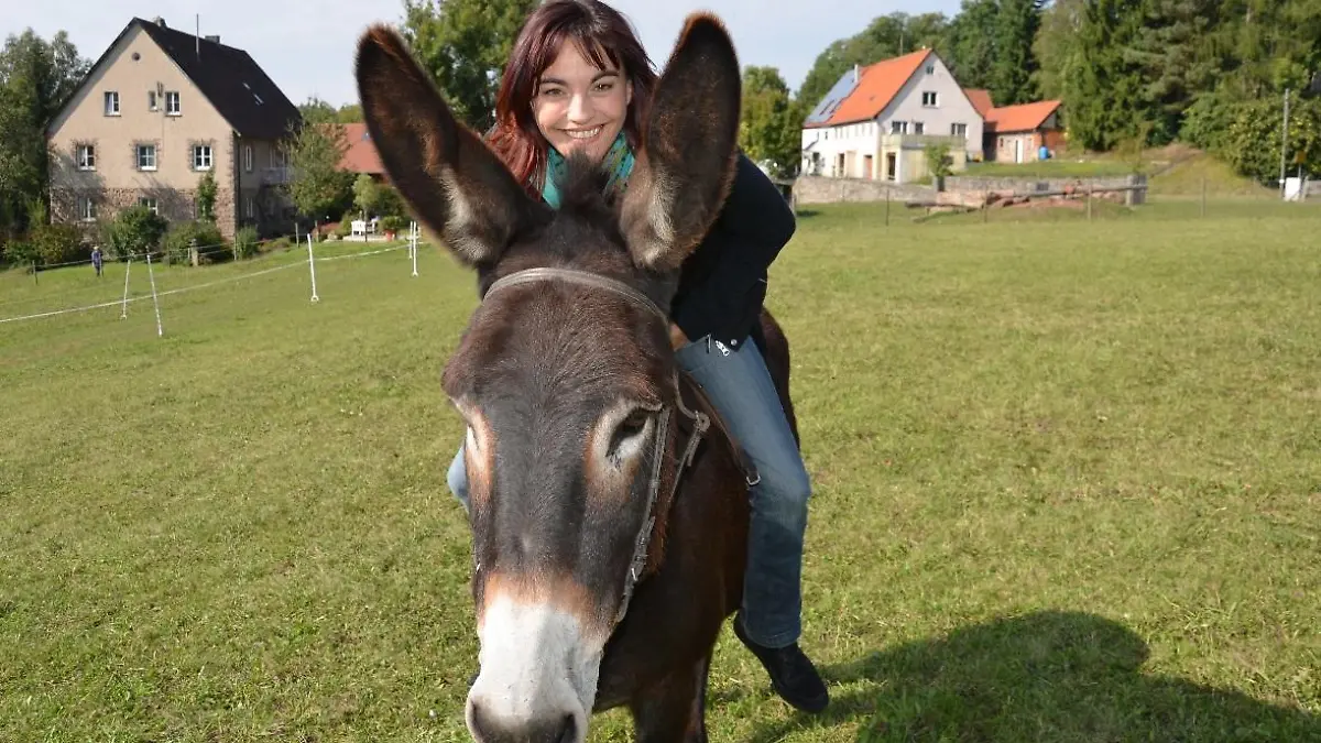 Tiergeschichten2 - VOX-DOCMA TV - Diana beim Eselrennen