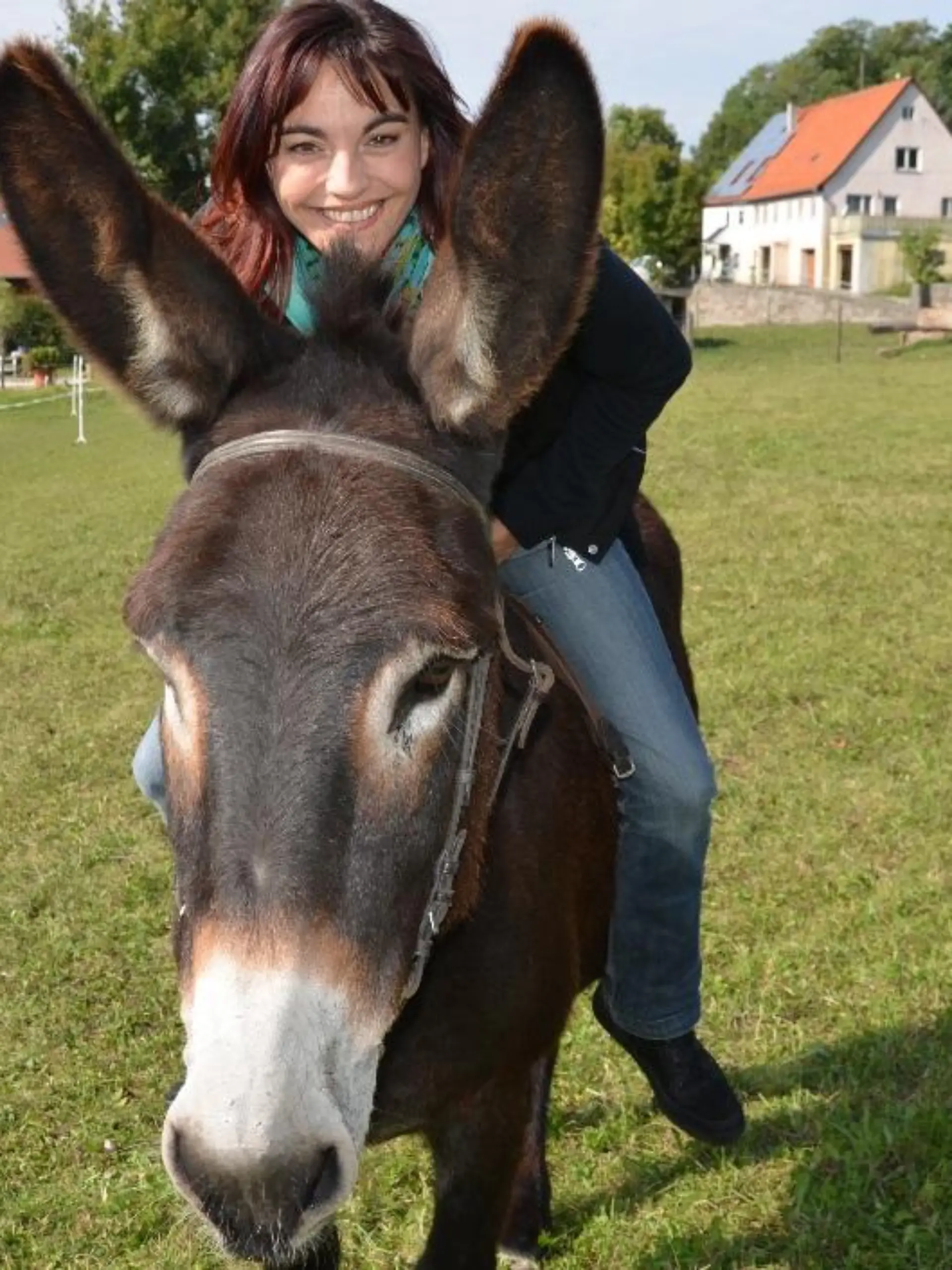 Tiergeschichten2 - VOX-DOCMA TV - Diana beim Eselrennen
