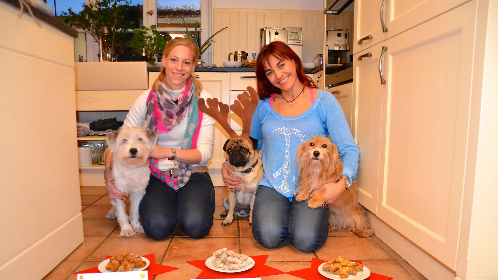 TG1 - Weihnachtspltzchen. VOX-DOMCA TV hundkatzemaus-Reporterin Diana Eichhorn mit Tierernhrungsexpertin Dr. Julia Fritz und den vierbeinigen Test-Essern.JPG