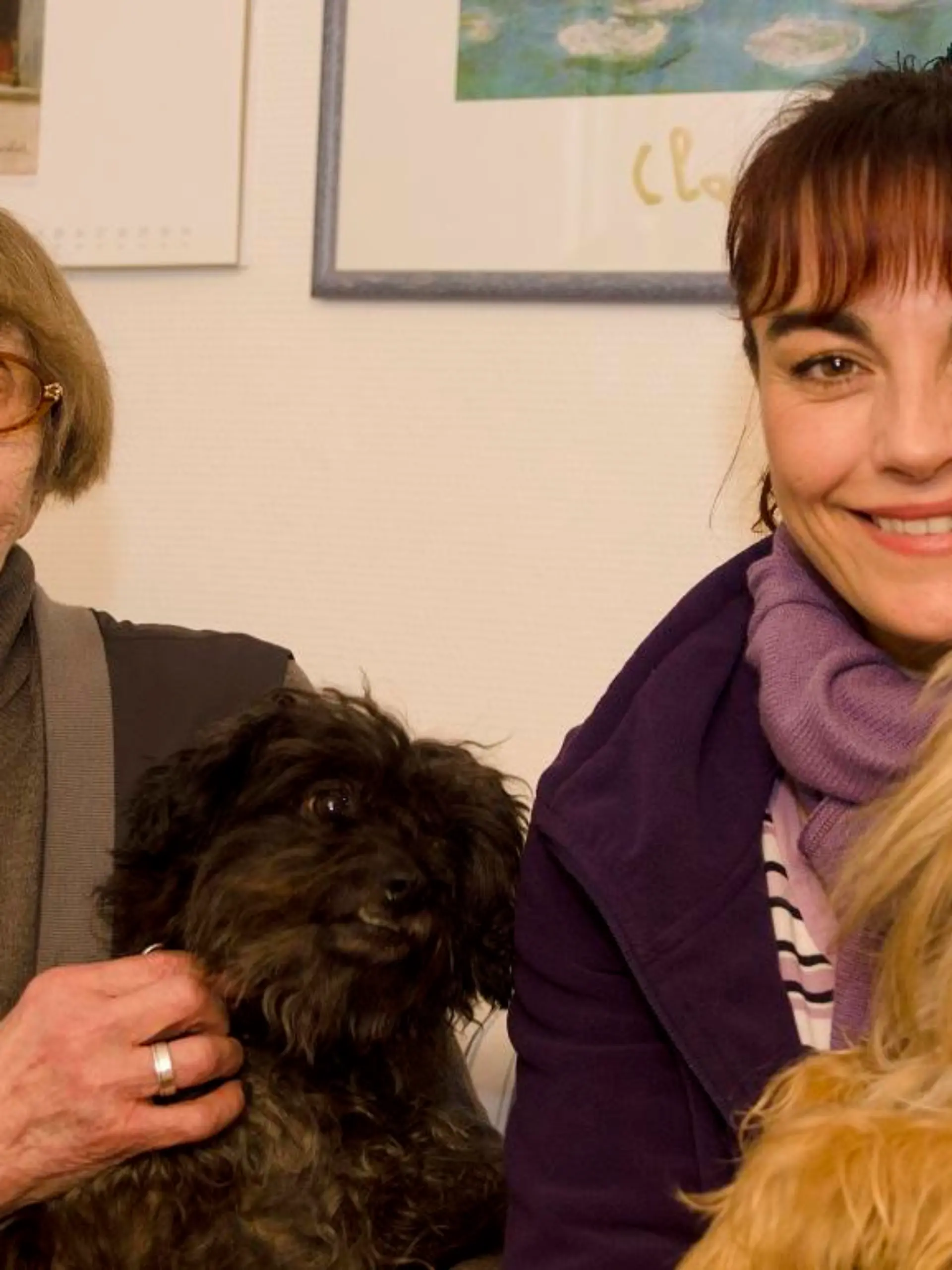 Tiergeschichten1 - VOX-DOCMA TV-TOBY BRODHUN - Omihunde Netzwerk