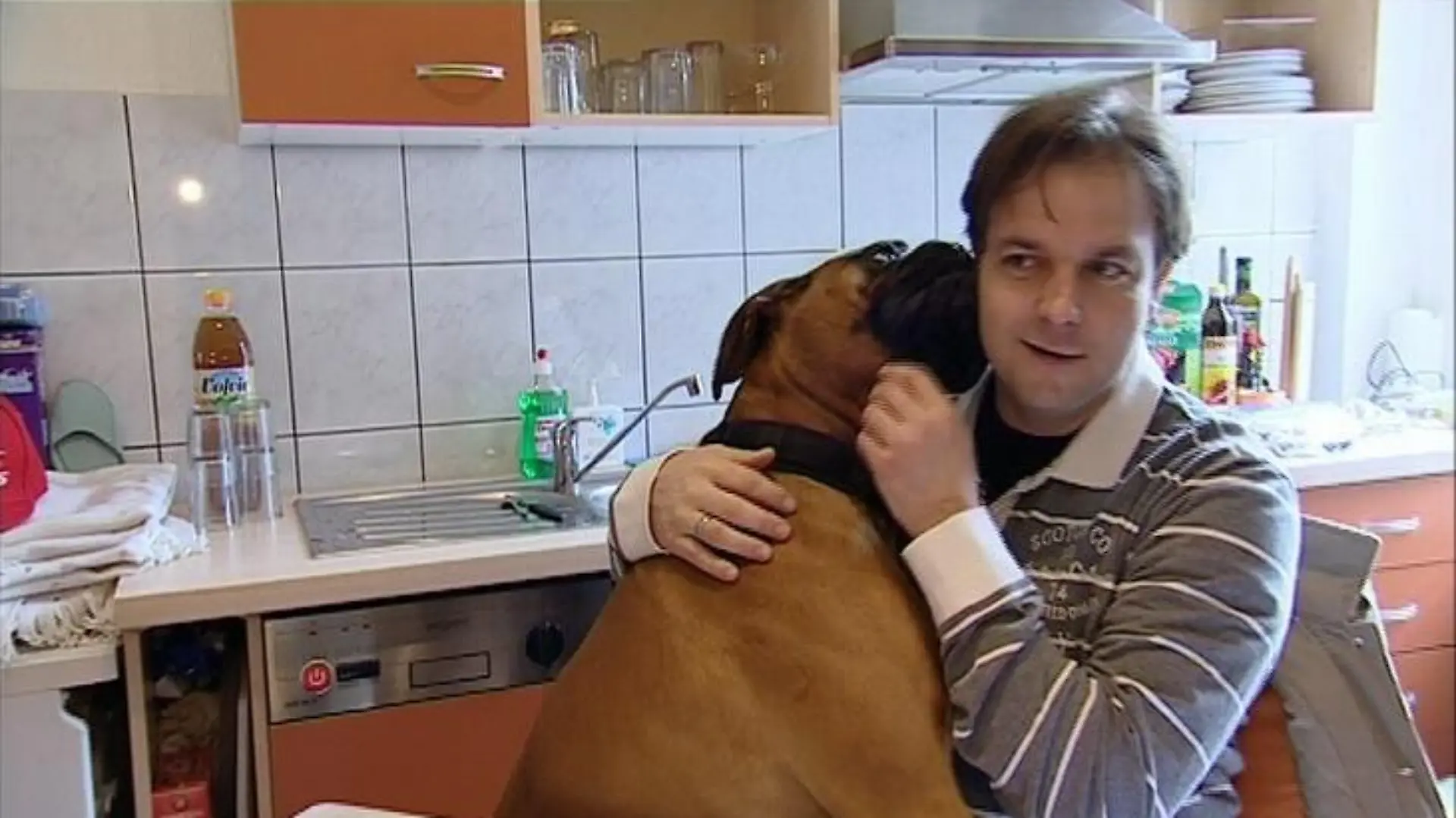 hundeprofi teaser