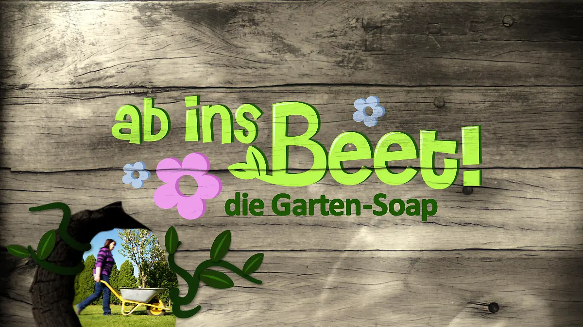 AiB Logo BG