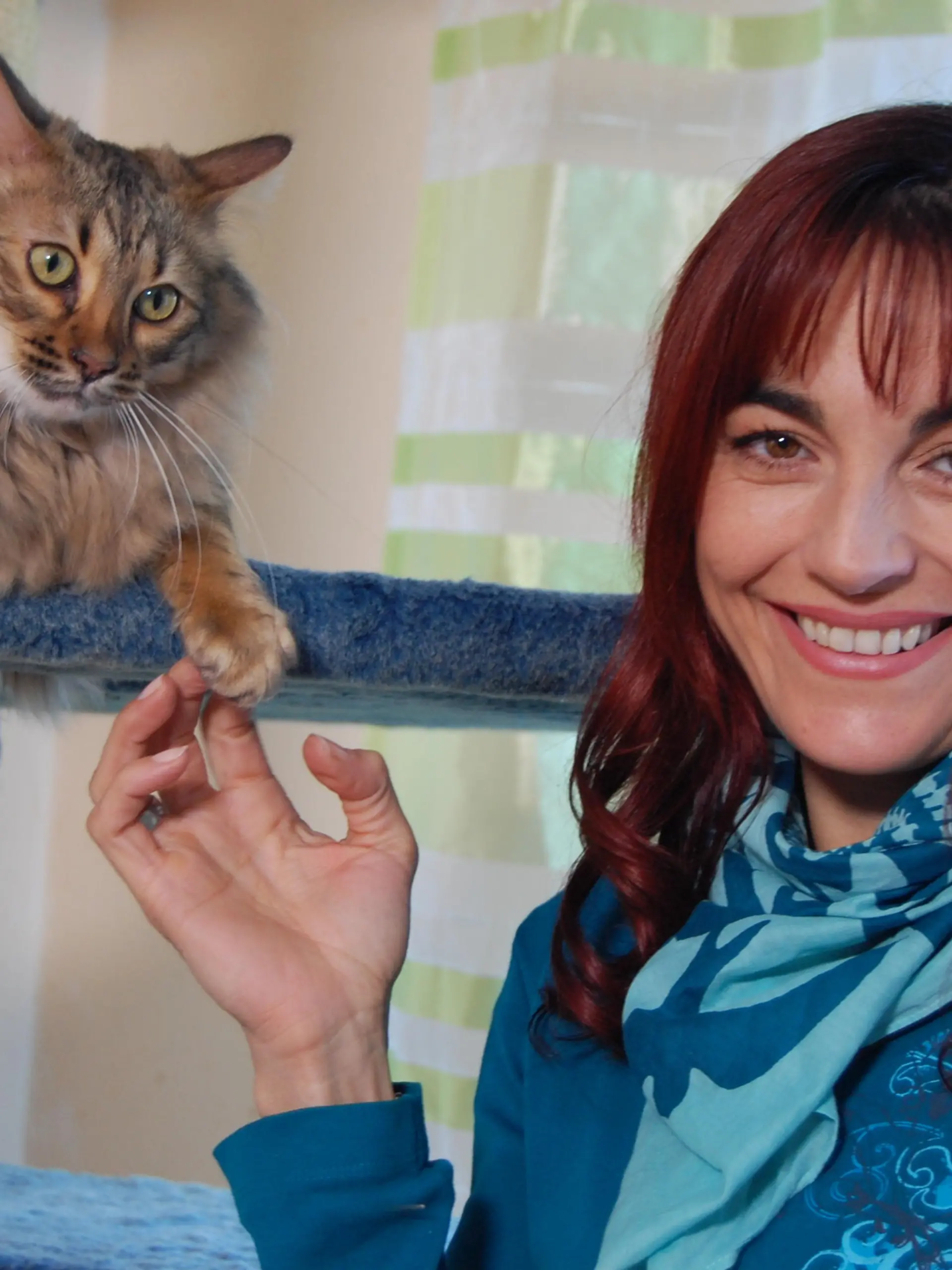 hkm Cashmere-Katzen