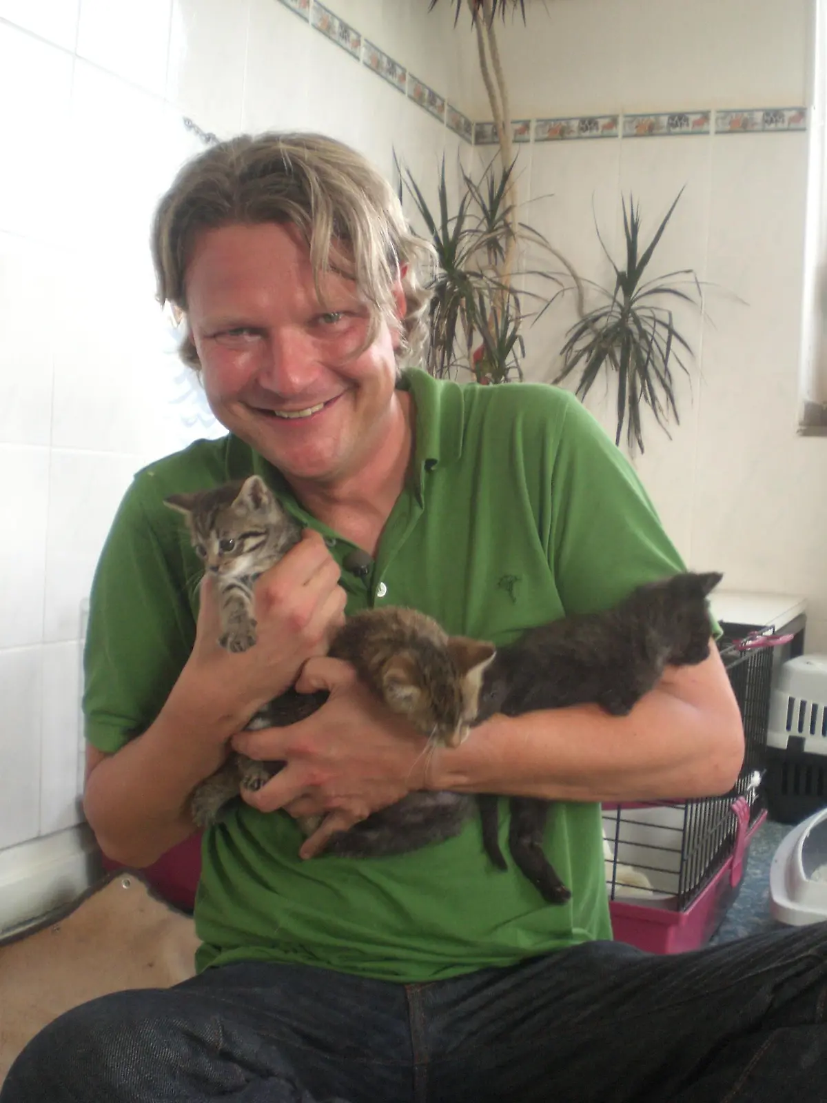 Vorschau - Frank Weber Katzen
