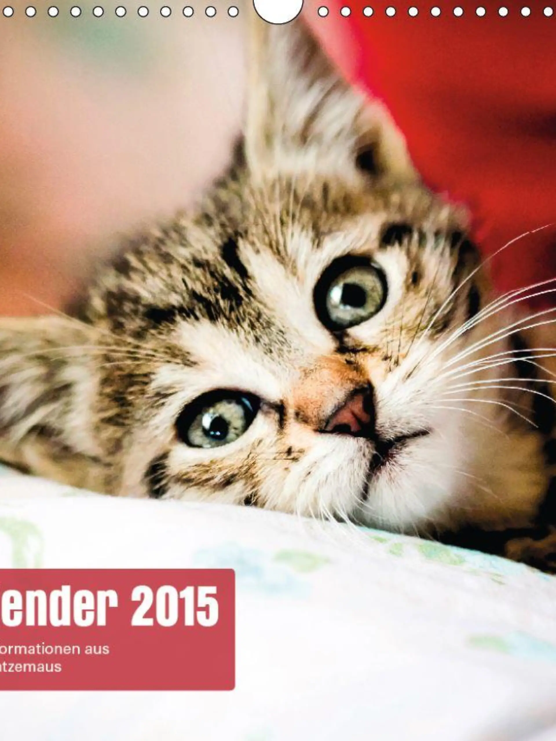 Katzen Kalender 2015 Titel