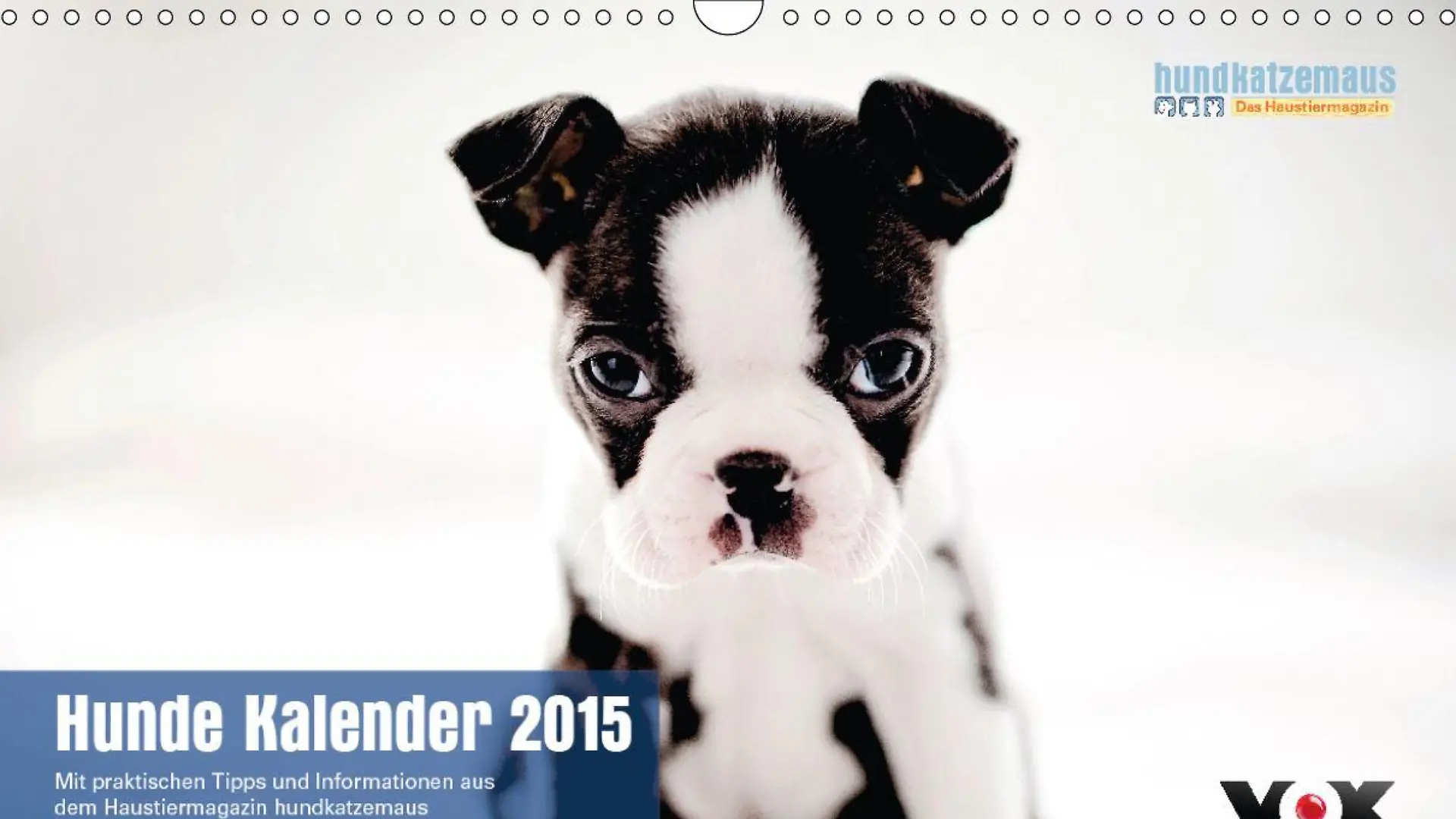 Hunde Kalender 2015 Titel