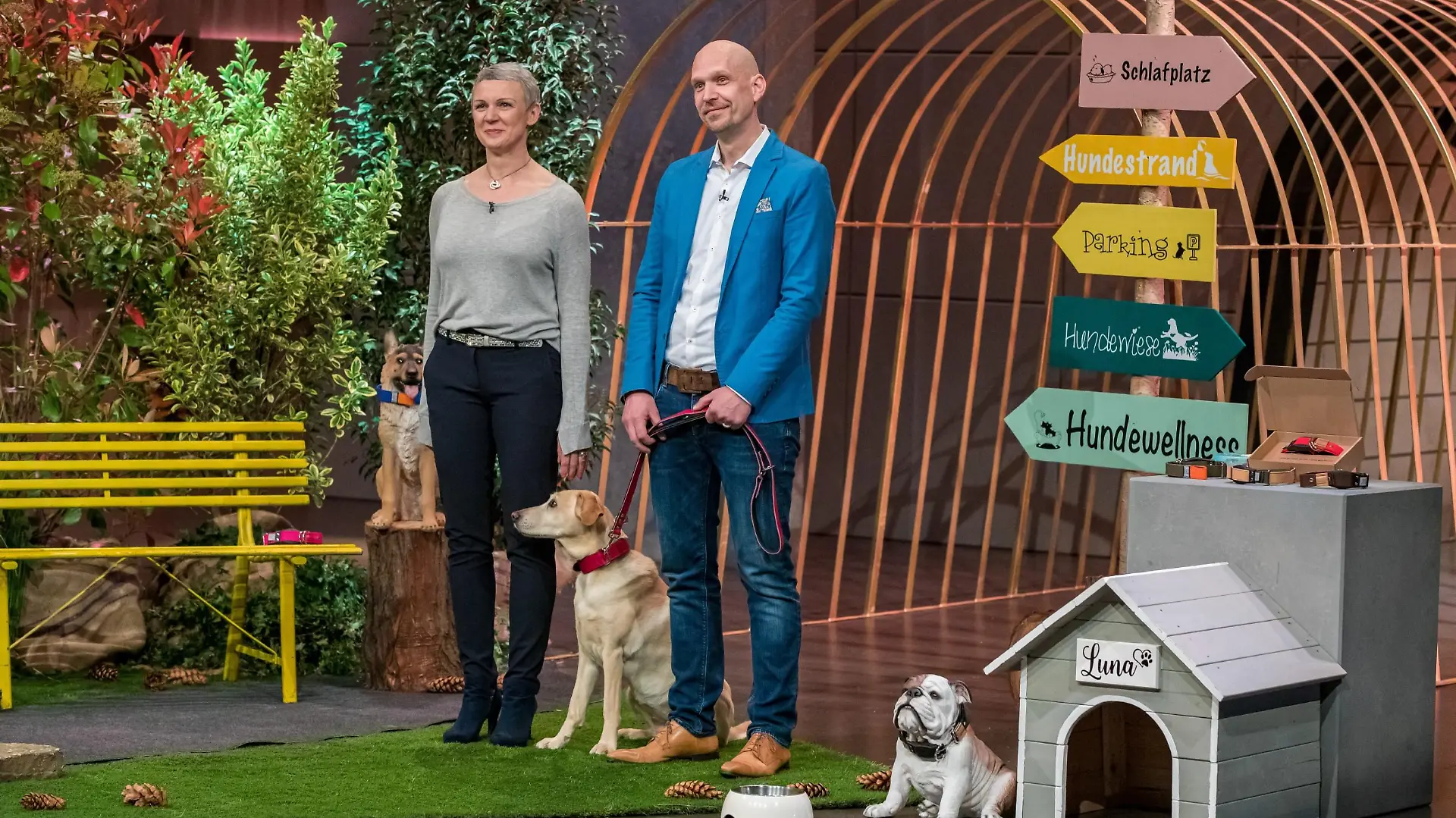 Walburga und Reto Falkenberg aus Rosengarten präsentieren mit _WowWow" ein Halsband mit integrierter Leine. Sie erhoffen sich ein Investment von 120.000 Euro für 25 Prozent der Anteile an ihrem Unternehmen. Die Verwendung des sendungsbezogenen Materials ist nur mit dem Hinweis und Verlinkung auf TVNOW gestattet.