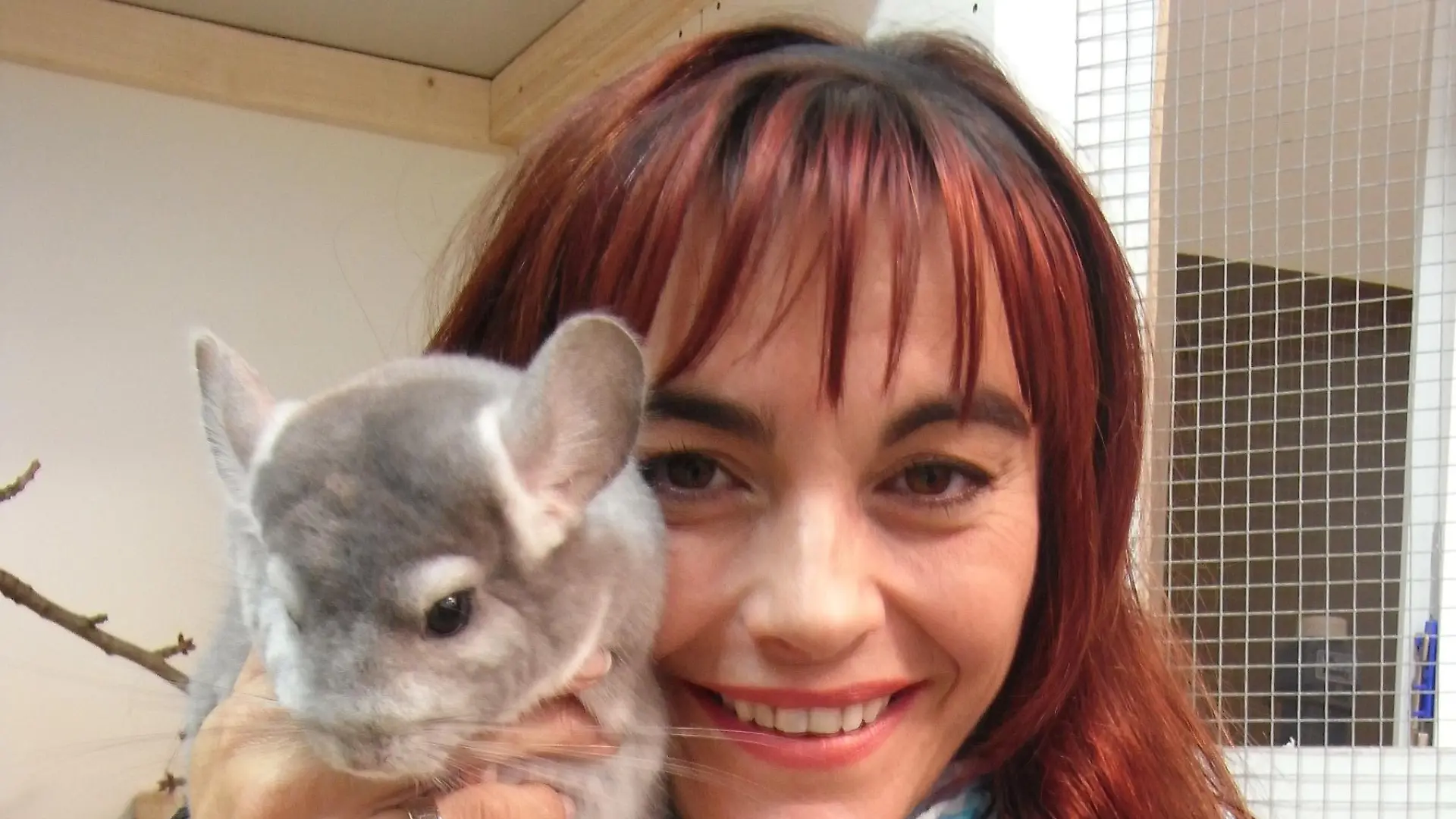 tiergeschichten1 - Chinchillas 1