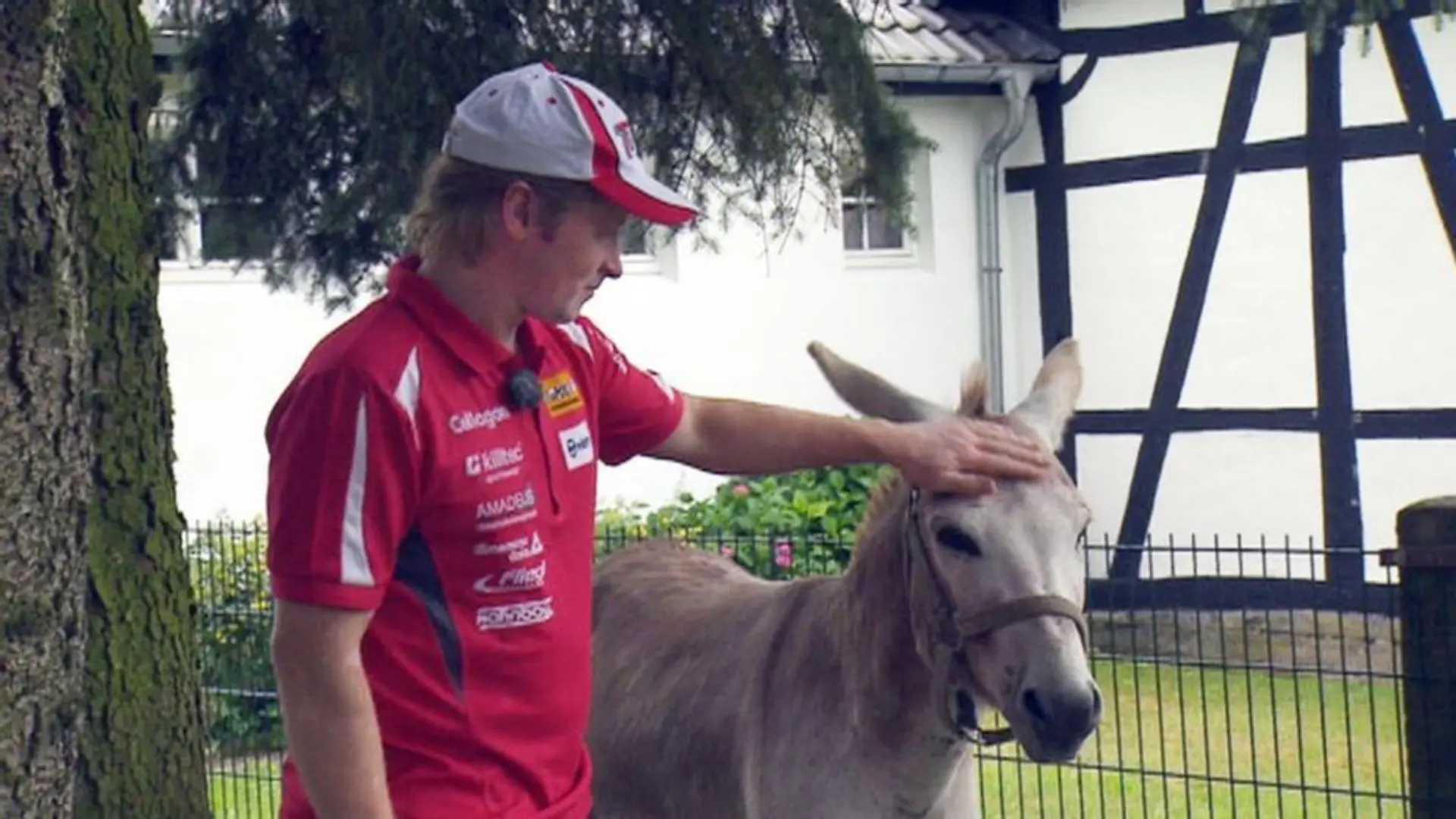 Auf seinem Bauernhof im Bergischen Land hat Joey Kelly einer ganzen Reihe von Tieren Unterschlupf gegeben. Ob der Esel sich mit seinen wilden Ponys verstehen wird?