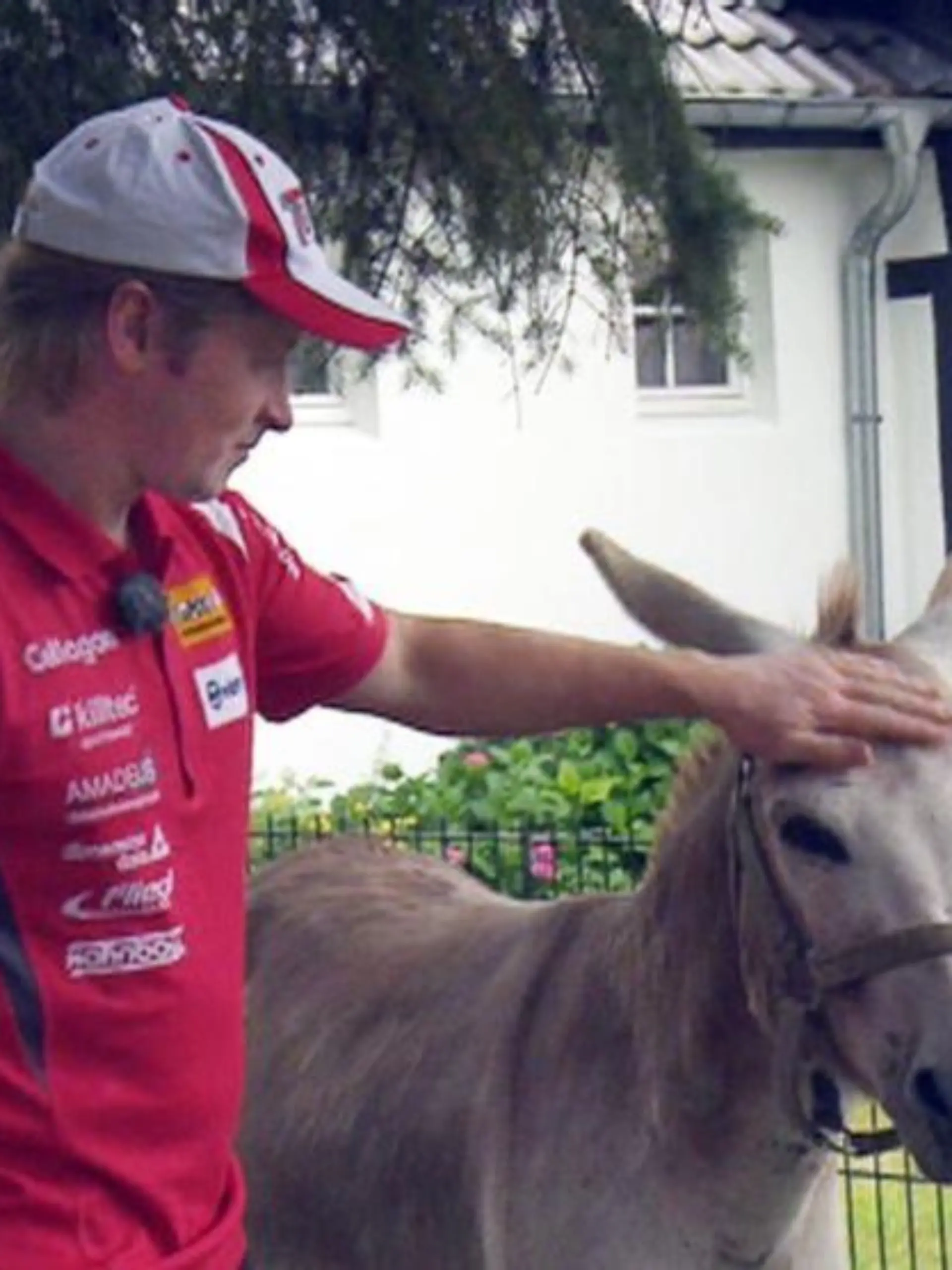 Auf seinem Bauernhof im Bergischen Land hat Joey Kelly einer ganzen Reihe von Tieren Unterschlupf gegeben. Ob der Esel sich mit seinen wilden Ponys verstehen wird?
