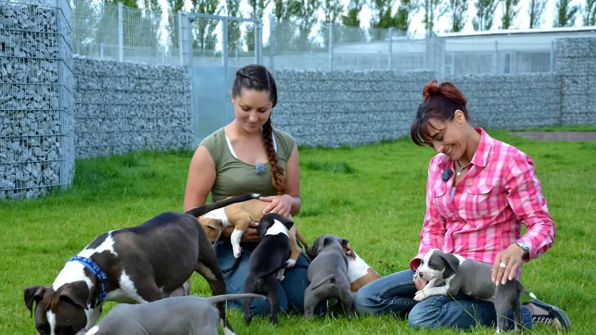 Tiergeschichten1 - Tierheim Berlin.JPG