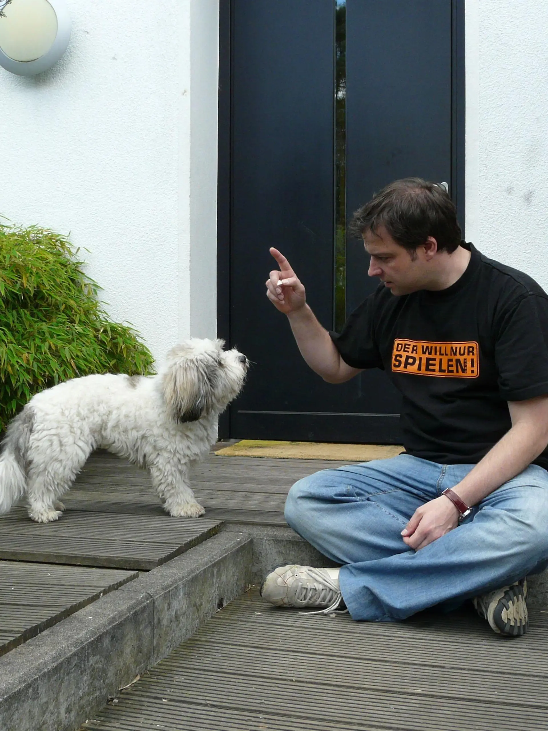 Timo, der kleine Coton de Tulear Rüde bellt ohne Punkt und Komma, sobald Besuch auftaucht. Die Familie schaltet Hundeprofi Martin Rütter ein. Kann er helfen?