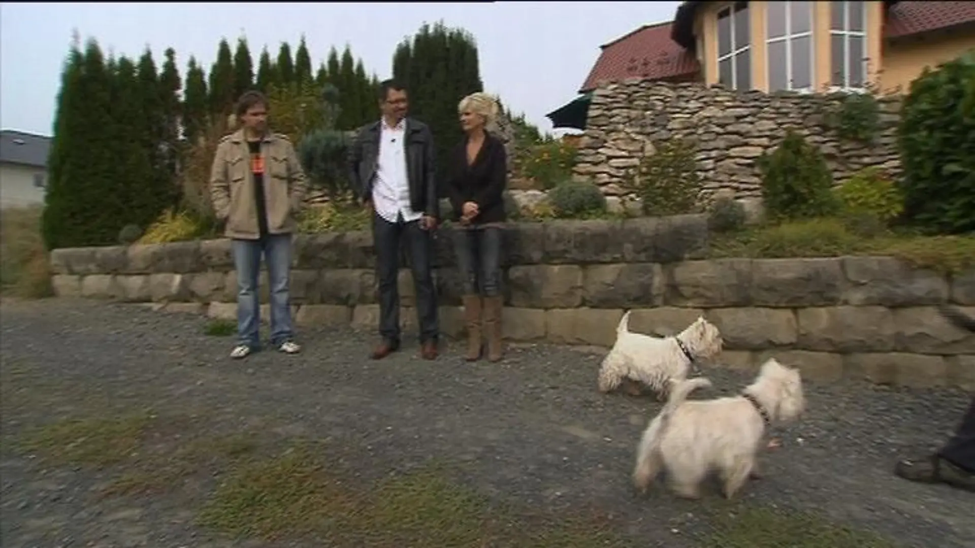 hundeprofi2 rütter+kenzo