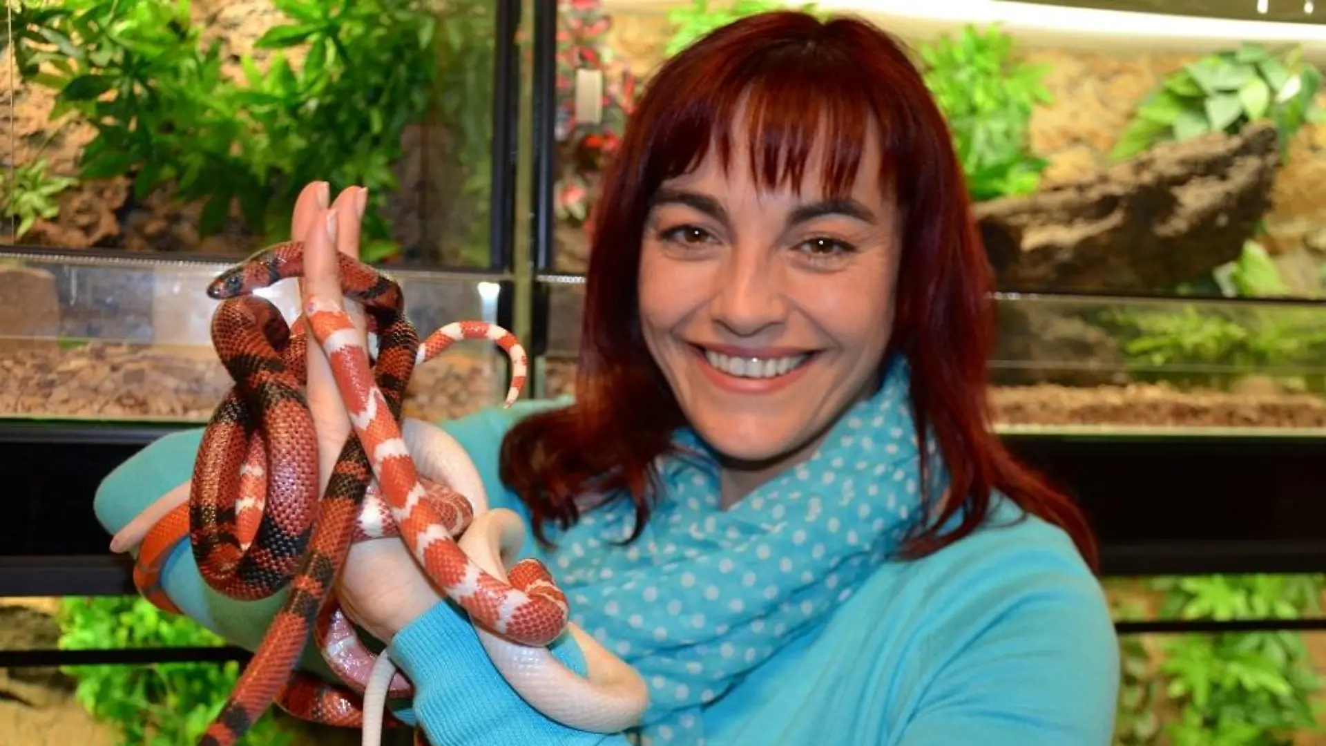 Tiergeschichten2 - VOX-DOCMA TV-CHRISTIAN NEUMANN - Diana Eichhorn geht mit Knigsnattern auf Tuchfhlung