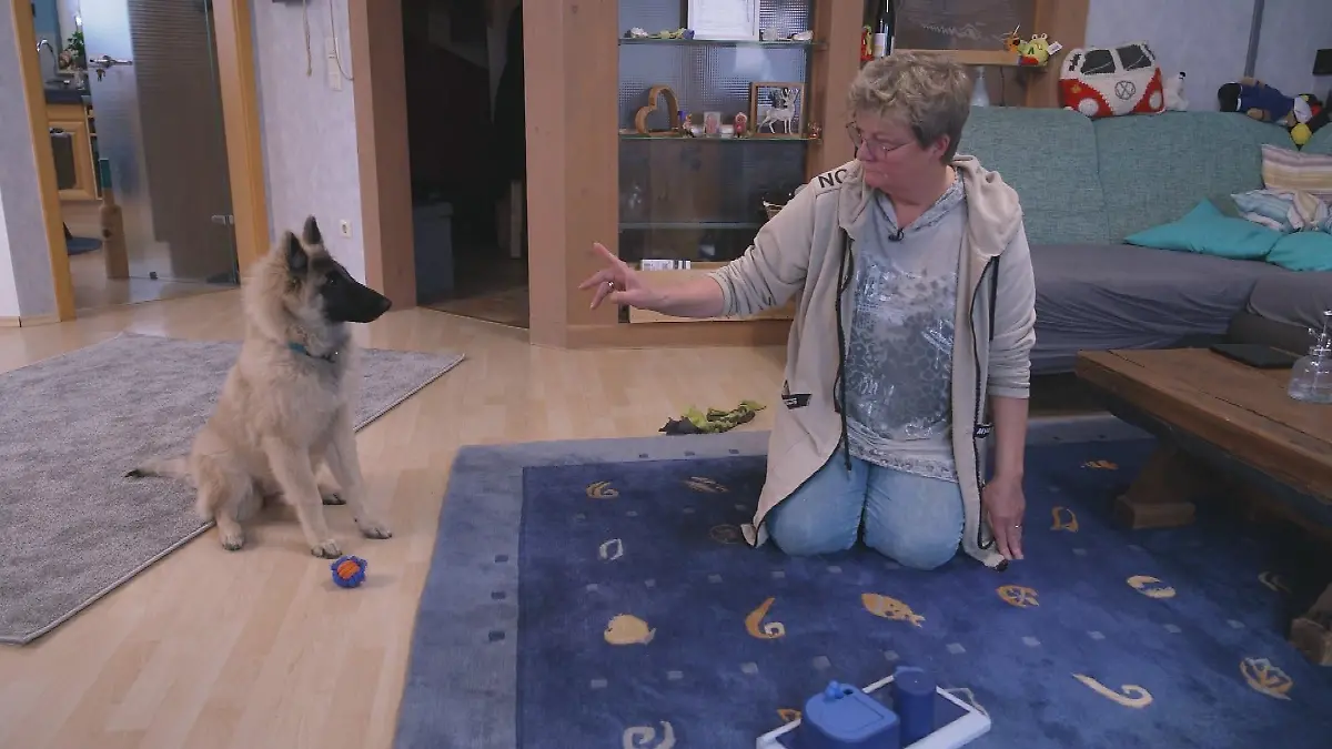 Anke Schwarze mit Tervueren-Dame Csilla.
+++ Die Verwendung des sendungsbezogenen Materials ist nur mit dem Hinweis und Verlinkung auf RTL+ gestattet. +++